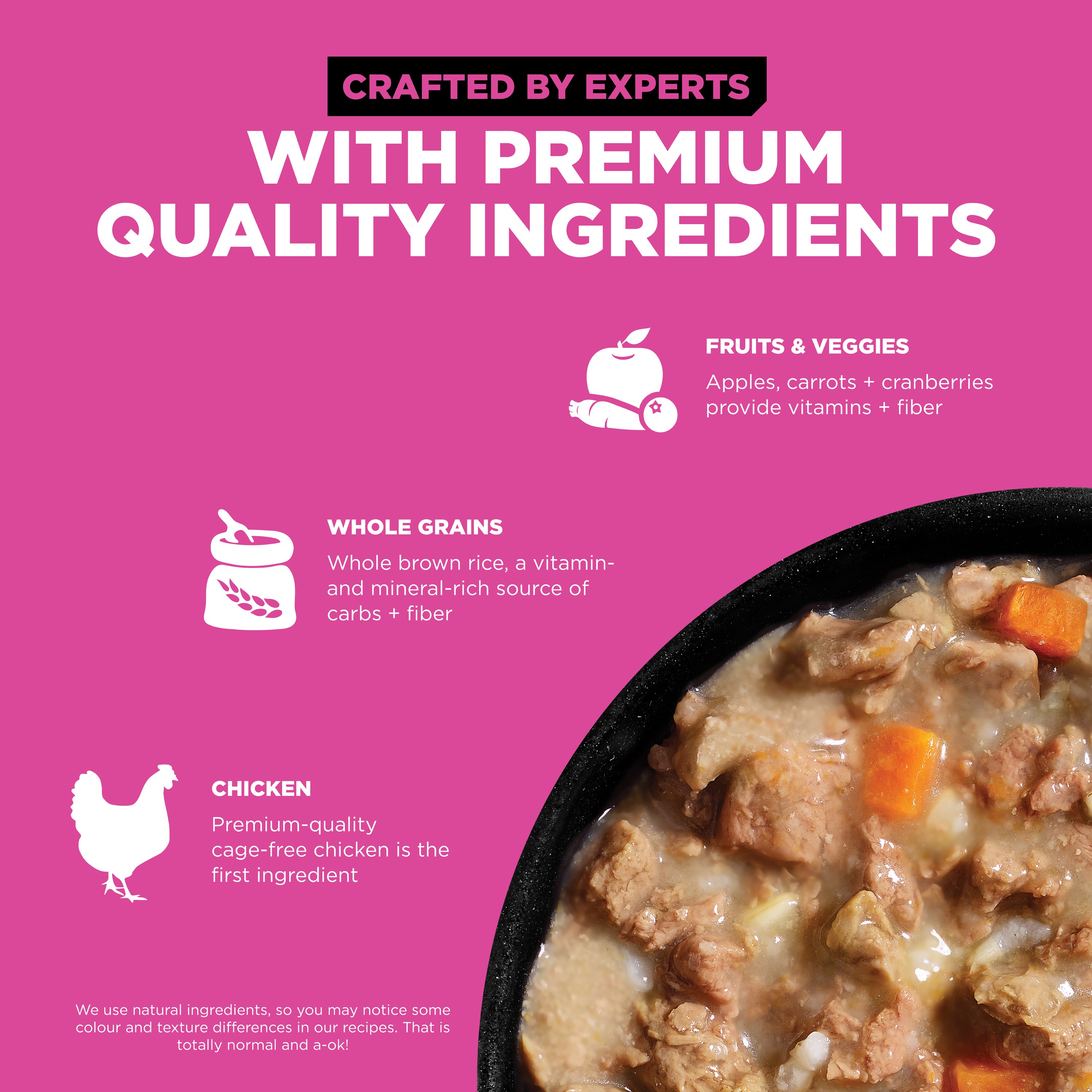 GO! SOLUTIONS SKIN + COAT With Grains Minced chicken recipe | 24 x 182g