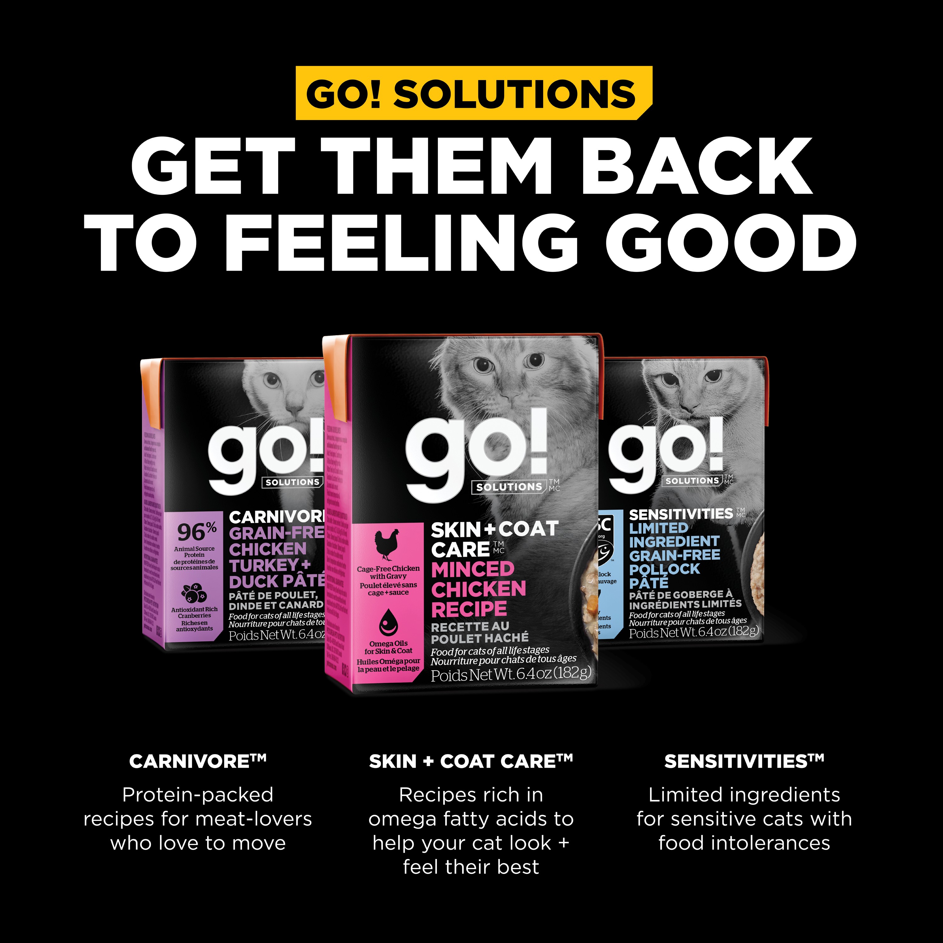 GO! SOLUTIONS SKIN + COAT With Grains Minced chicken recipe | 24 x 182g