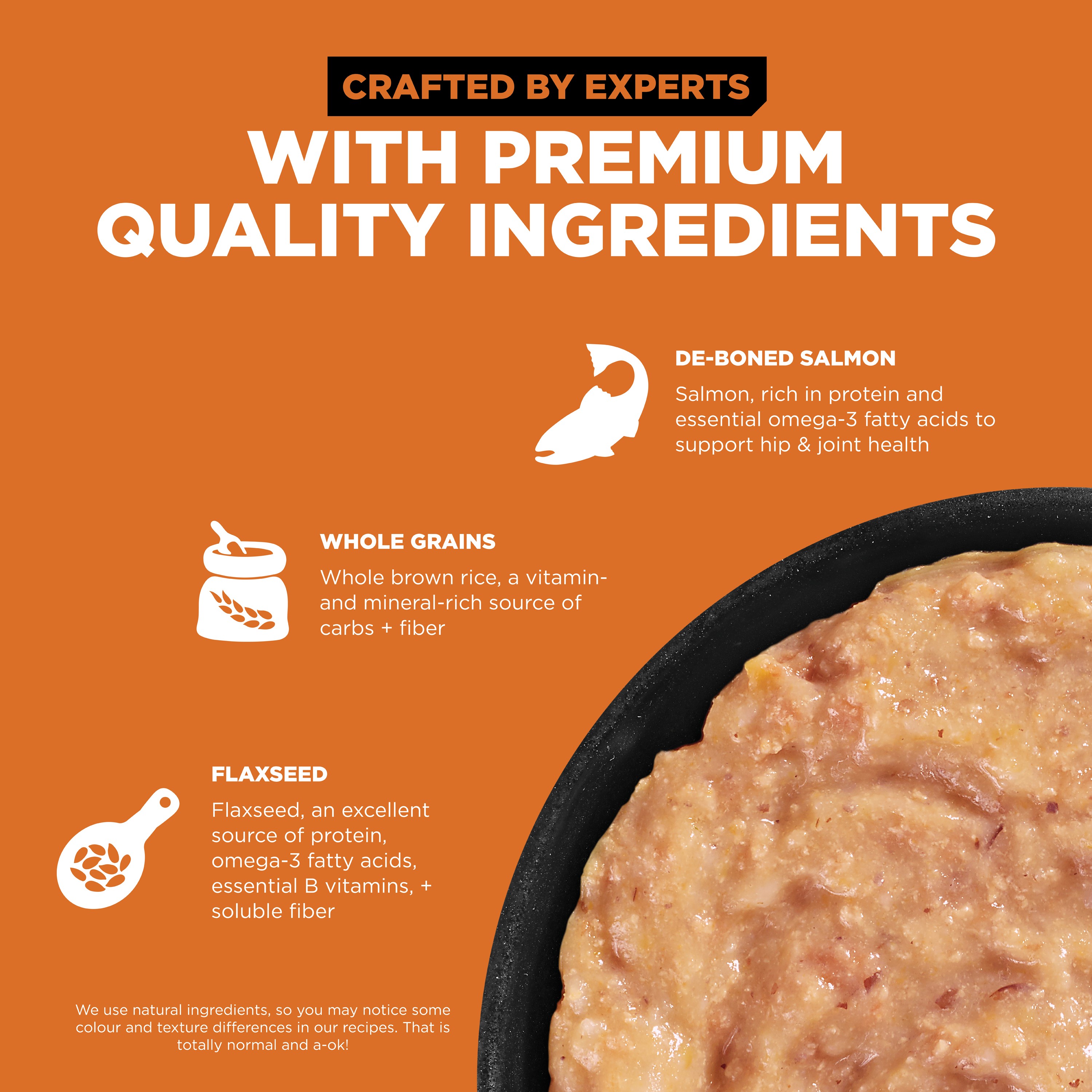 GO! SOLUTIONS SKIN + COAT Salmon Pâté With Grains | 24 x 182g