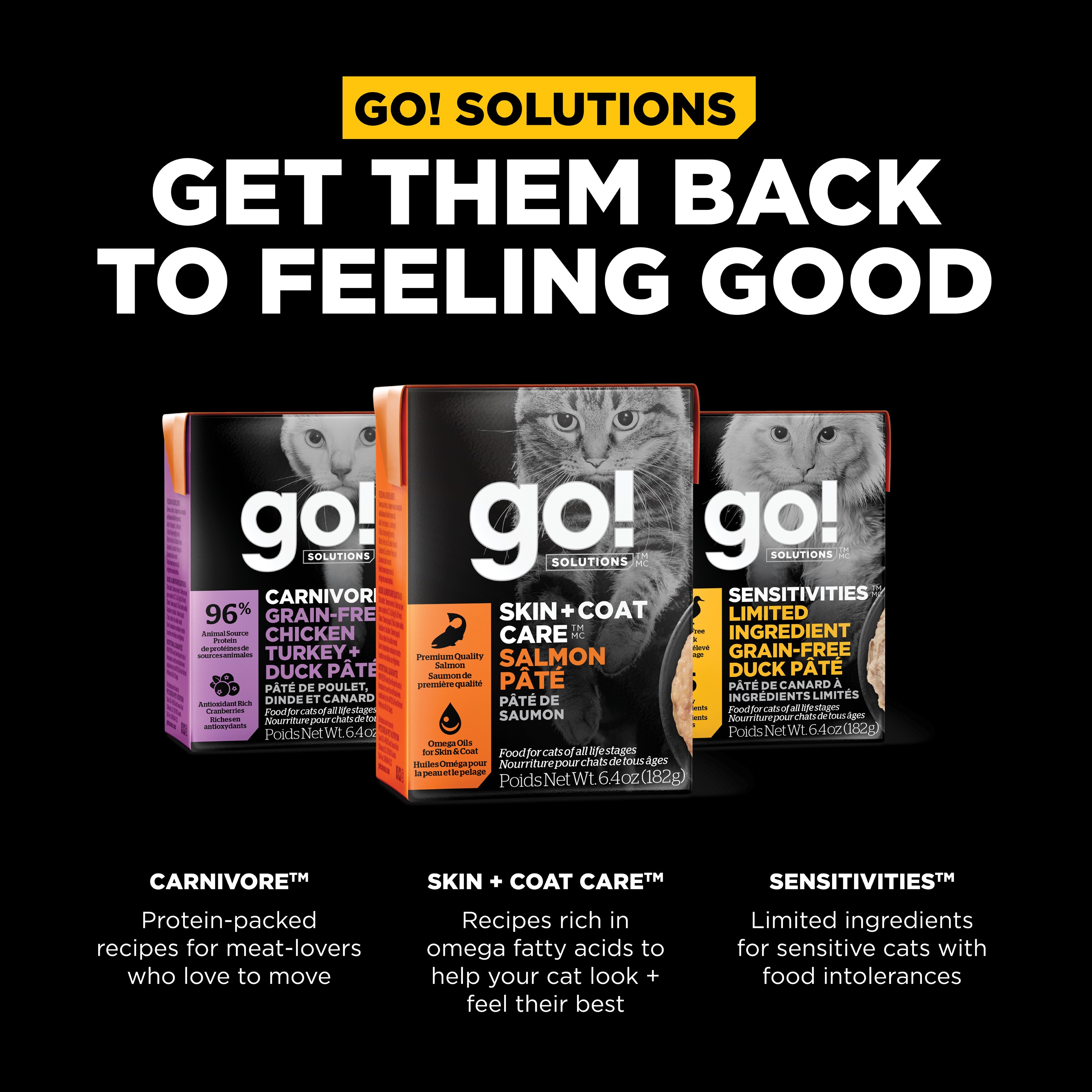 GO! SOLUTIONS SKIN + COAT Salmon Pâté With Grains | 24 x 182g
