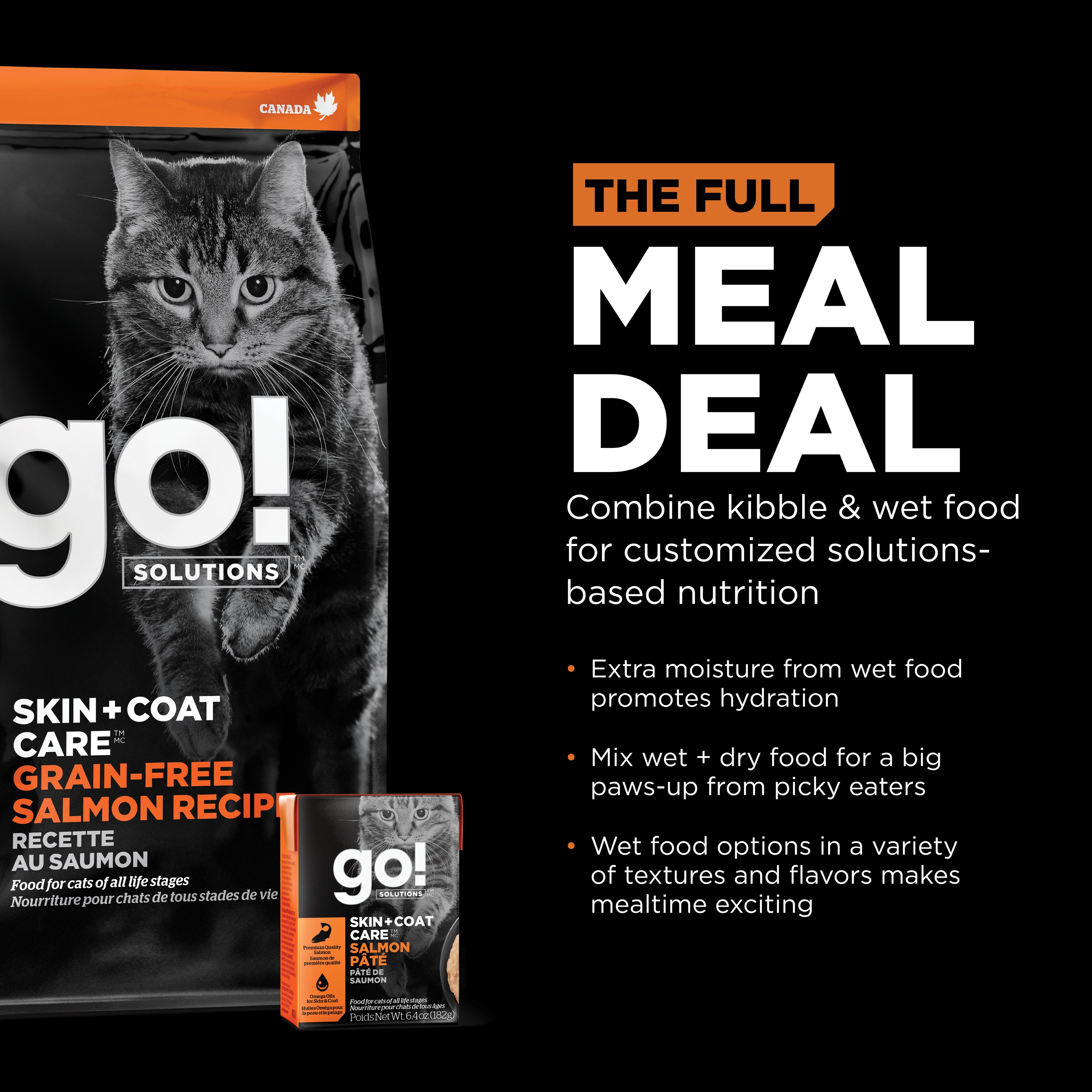 GO! SOLUTIONS SKIN + COAT Salmon Pâté With Grains | 24 x 182g