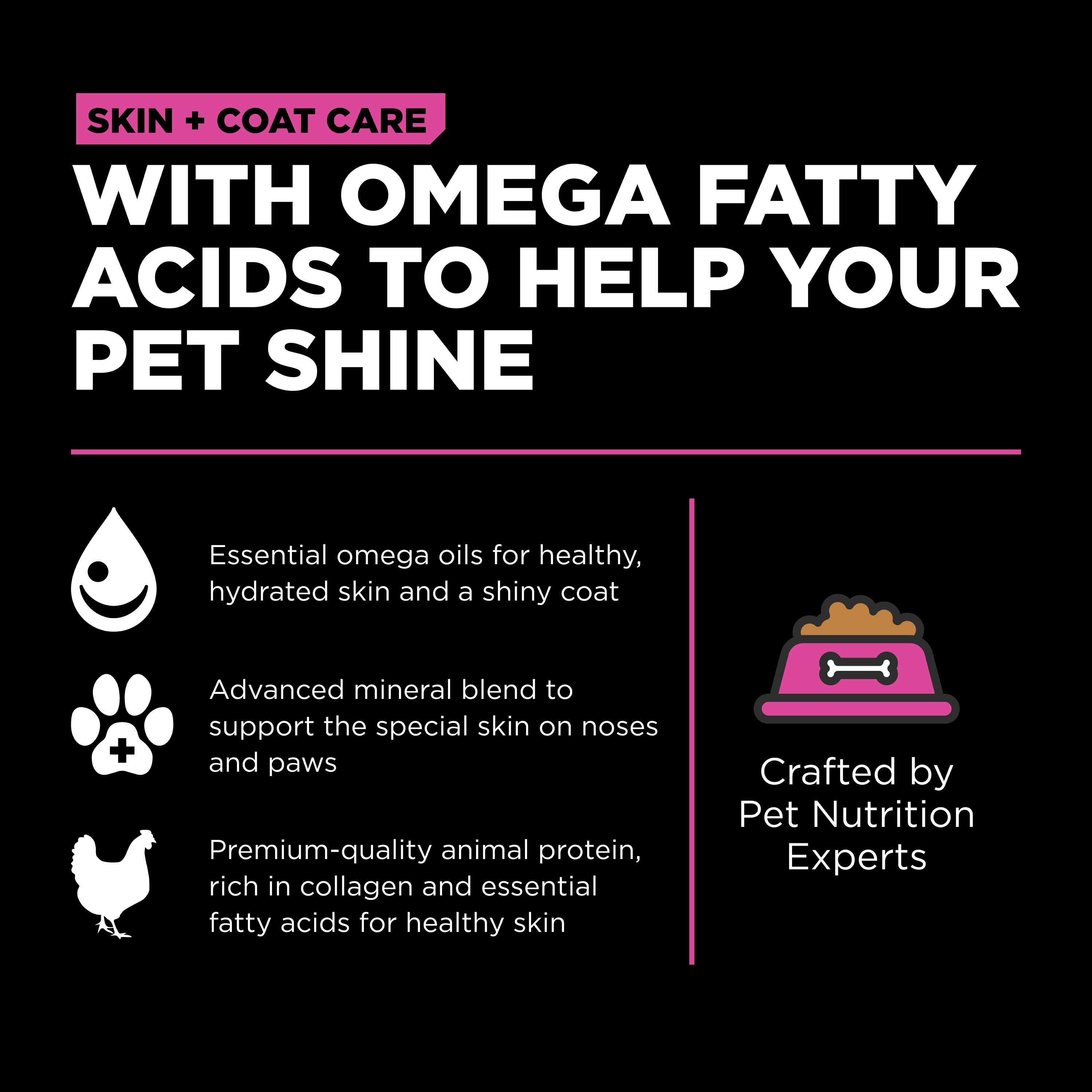 GO! SOLUTIONS SKIN + COAT CARE With Grains Chicken Recipe | 7.26kg