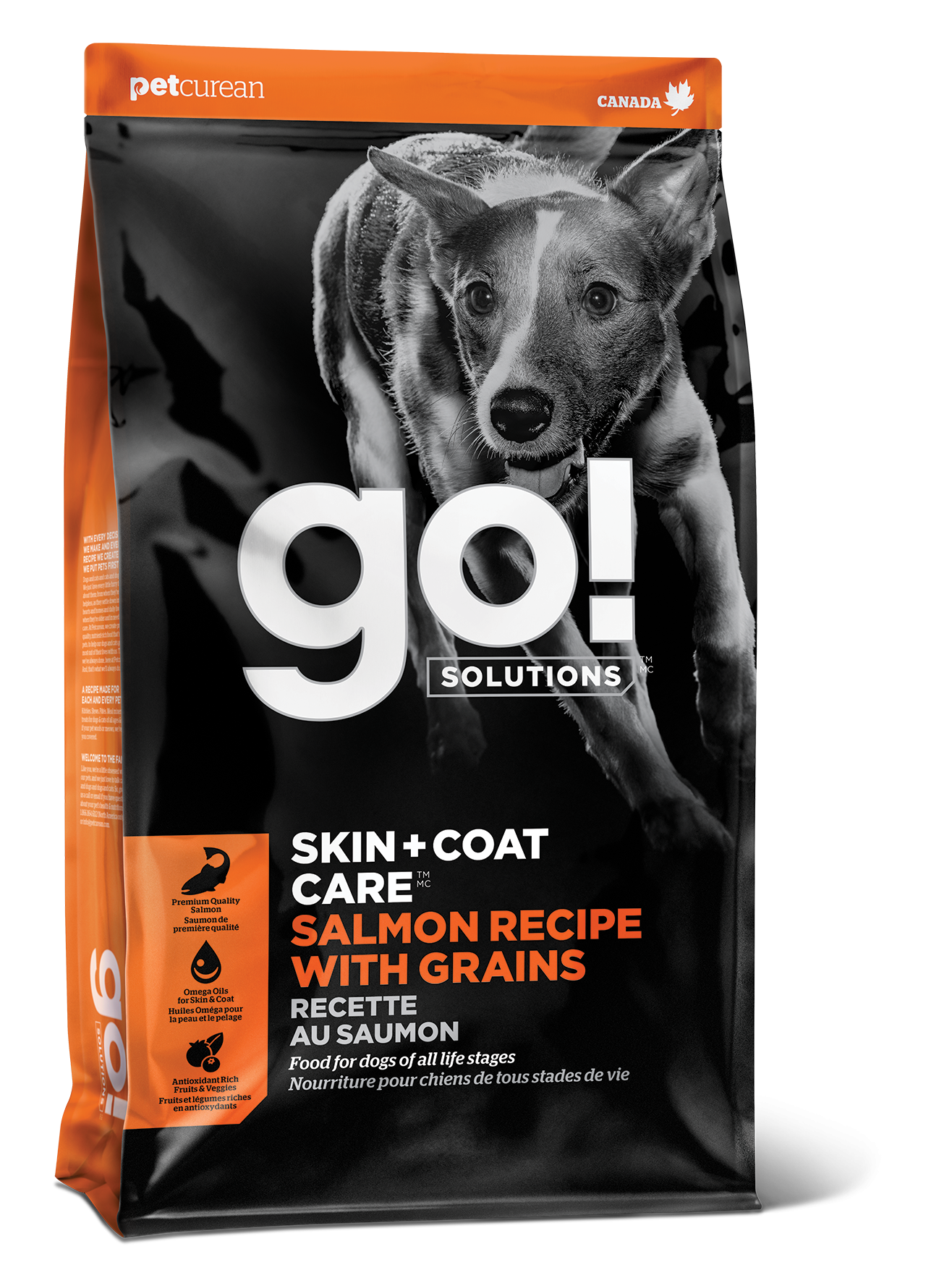 GO! SOLUTIONS SKIN + COAT CARE Salmon Recipe 