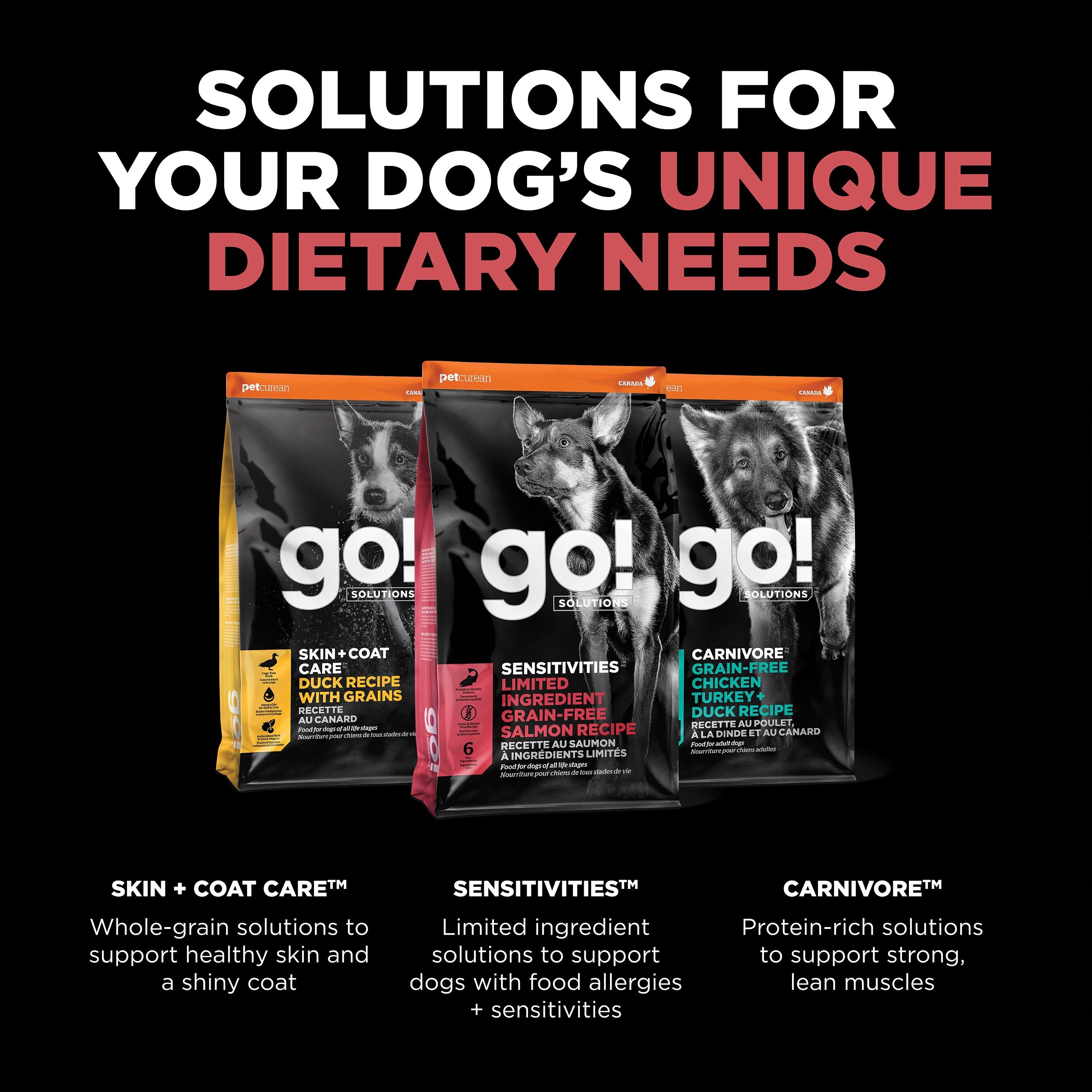 GO! SOLUTIONS SENSITIVITIES Grain Free LID Salmon Recipe | 5.4kg