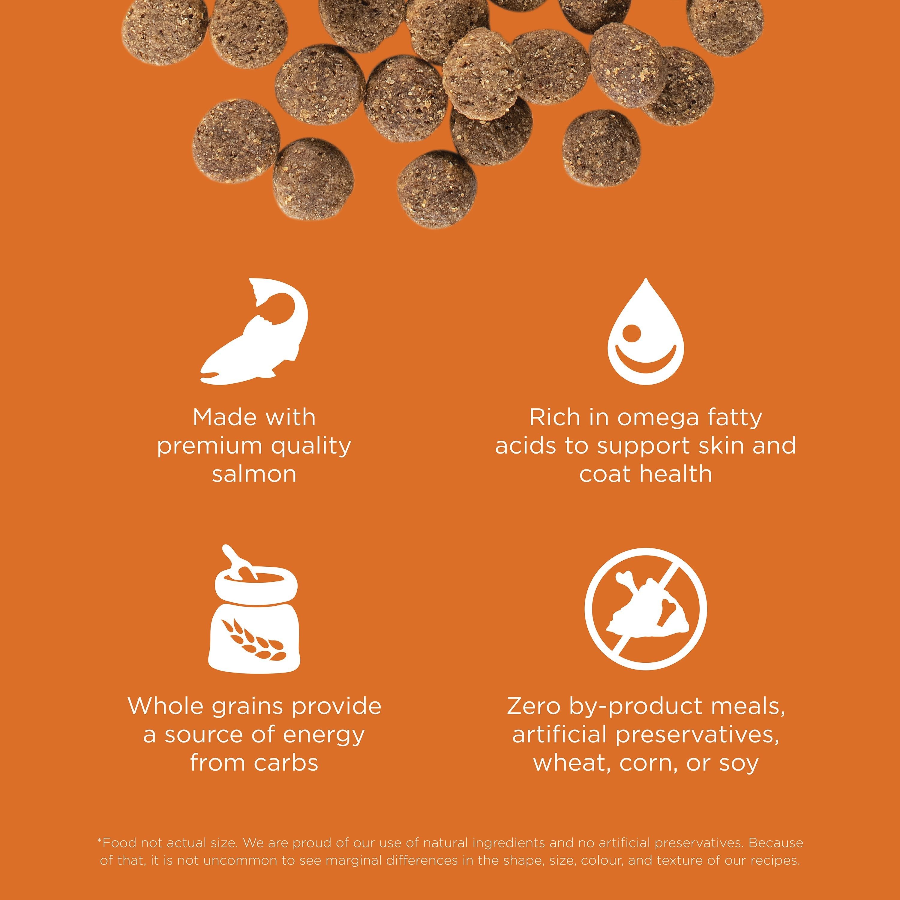 GO! SOLUTIONS SKIN + COAT CARE Salmon Recipe | 10 kg