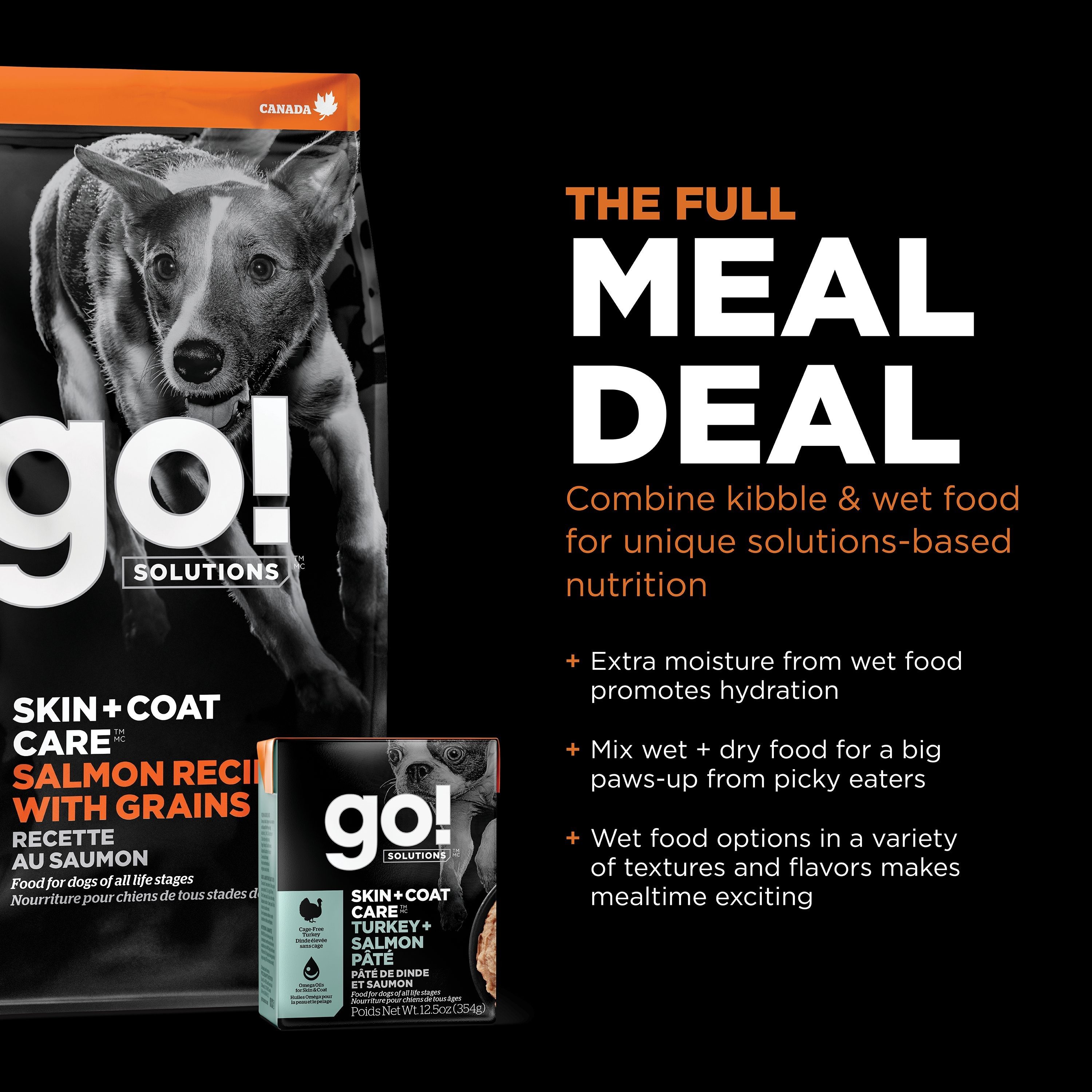 GO! SOLUTIONS SKIN + COAT CARE Salmon Recipe | 10 kg