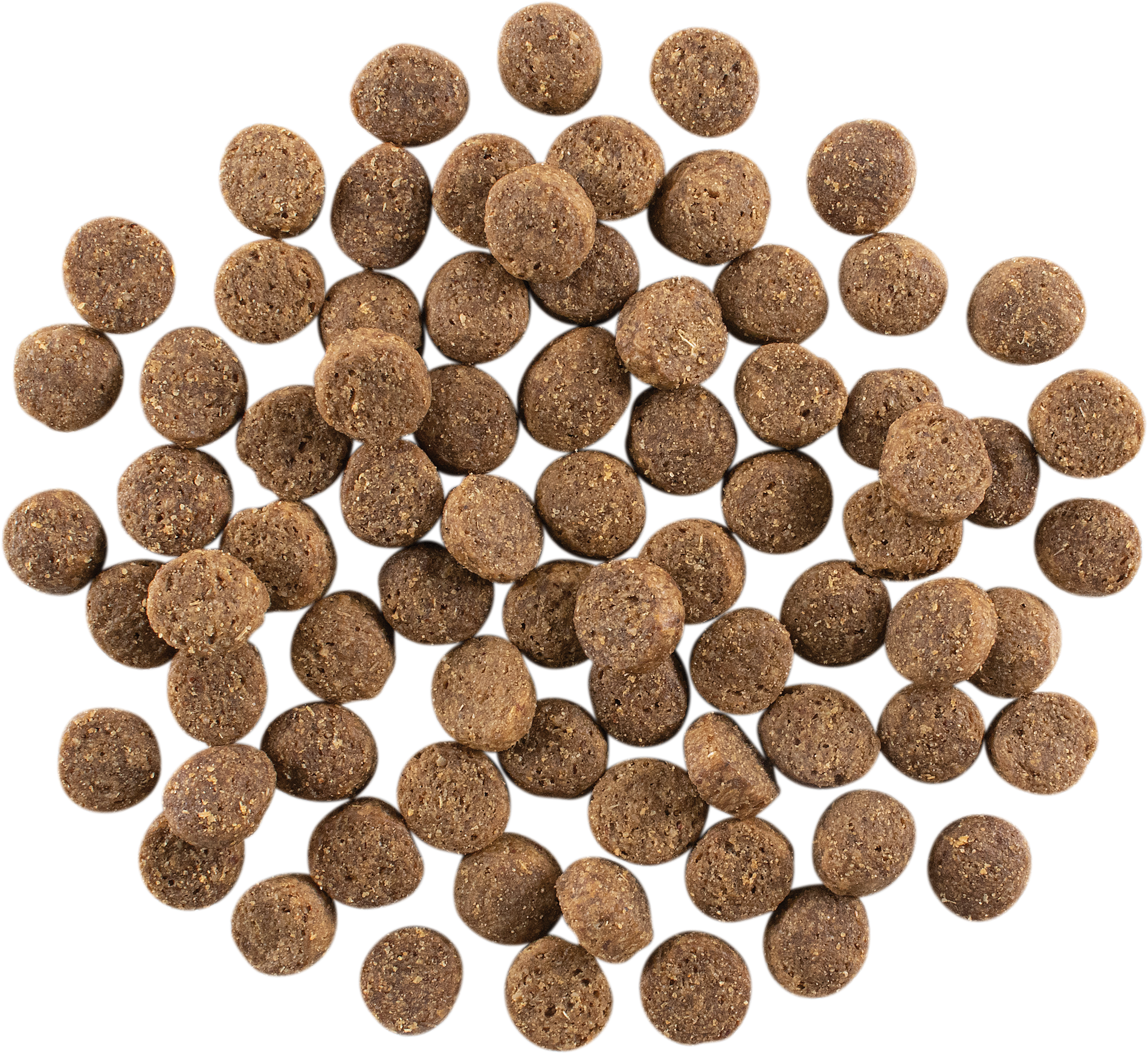 GO! SOLUTIONS SKIN + COAT CARE Salmon Recipe | 10 kg