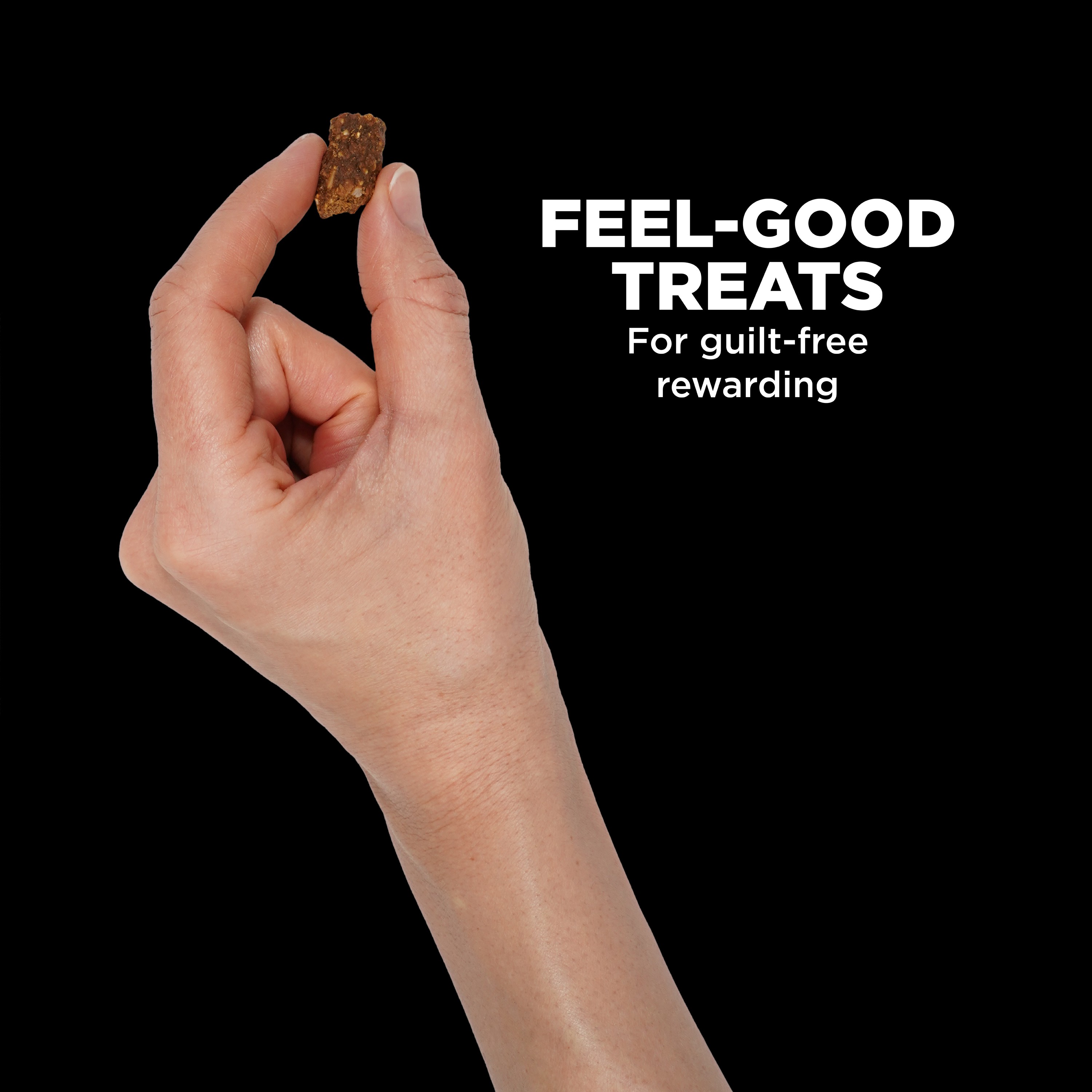 *NEW* GO! SOLUTIONS Benefit Chews Digestion + Gut Health Salmon DF | 170g