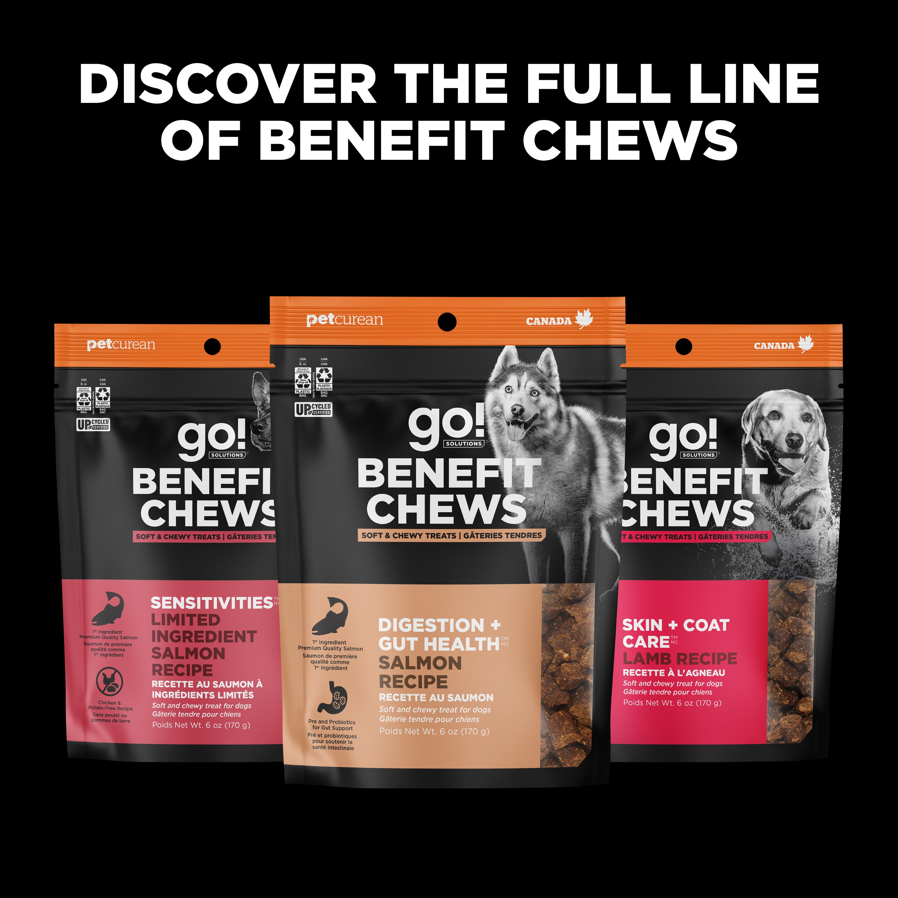 *NEW* GO! SOLUTIONS Benefit Chews Digestion + Gut Health Salmon DF | 170g
