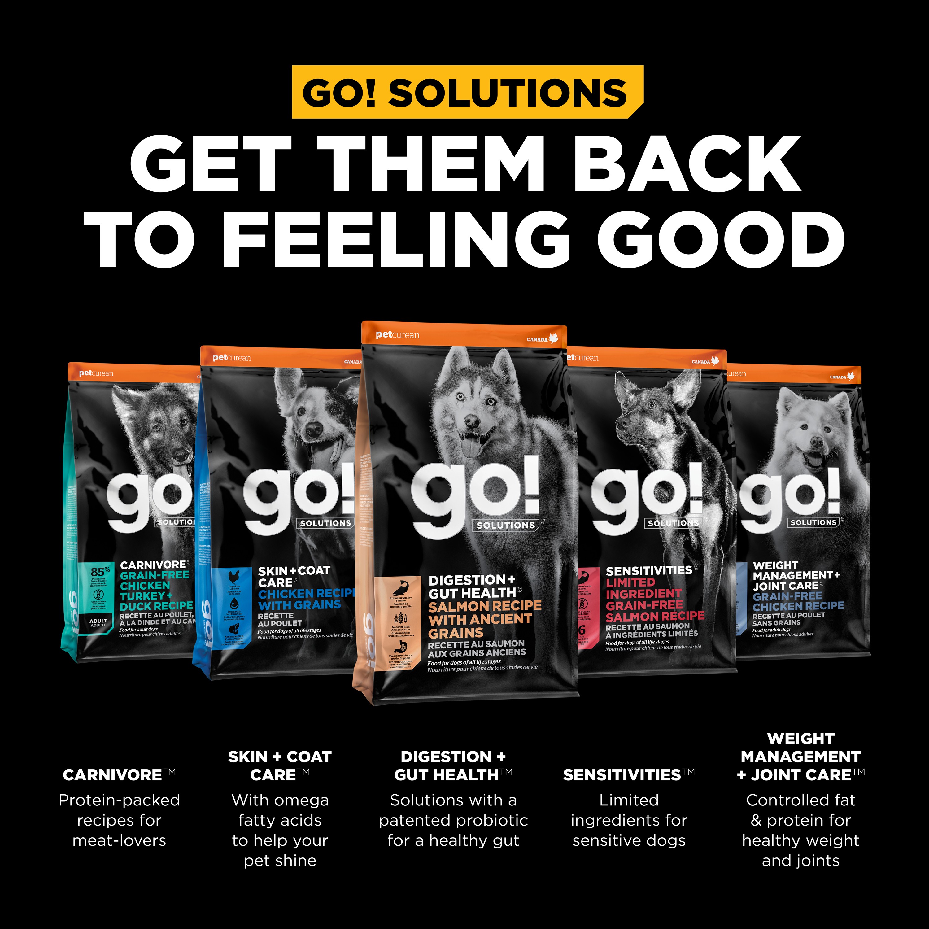 *NEW* GO! SOLUTIONS Benefit Chews Digestion + Gut Health Salmon DF | 170g