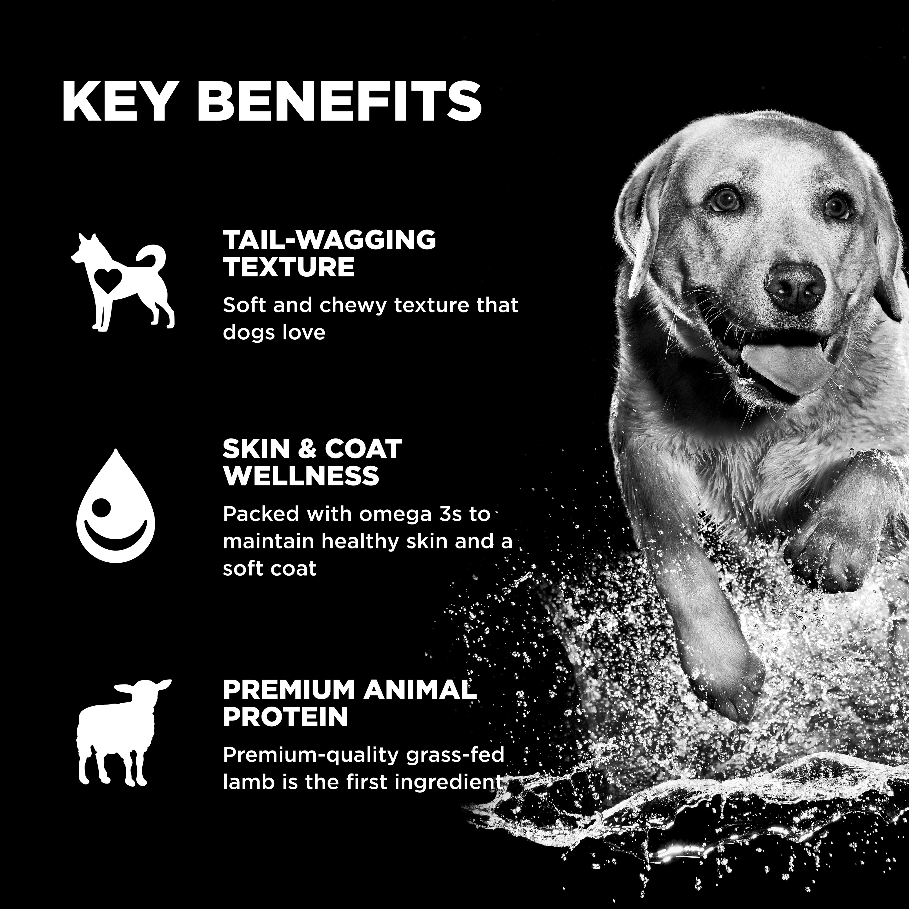 *NEW* GO! SOLUTIONS Benefit Chews SKIN + COAT Lamb DF | 170g