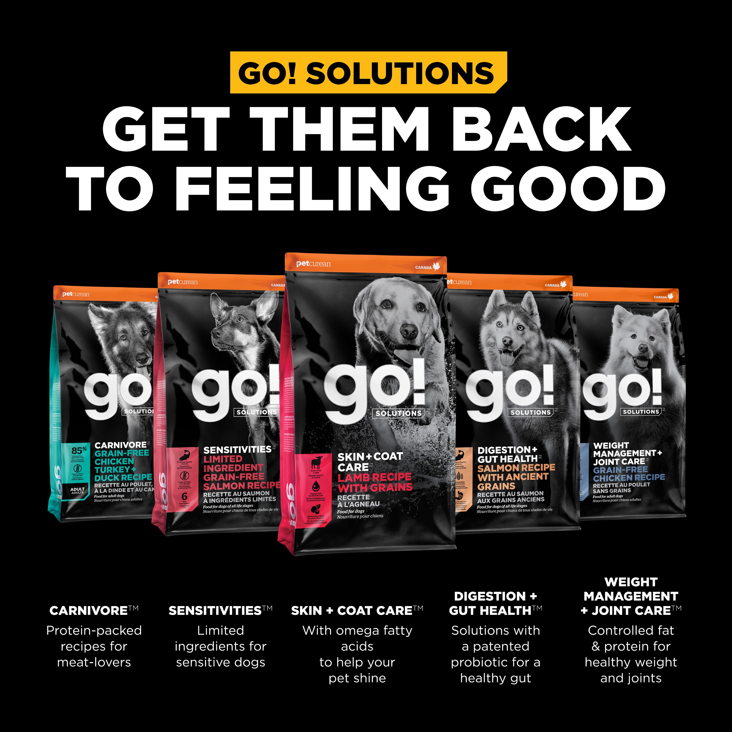 *NEW* GO! SOLUTIONS Benefit Chews SKIN + COAT Lamb DF | 170g