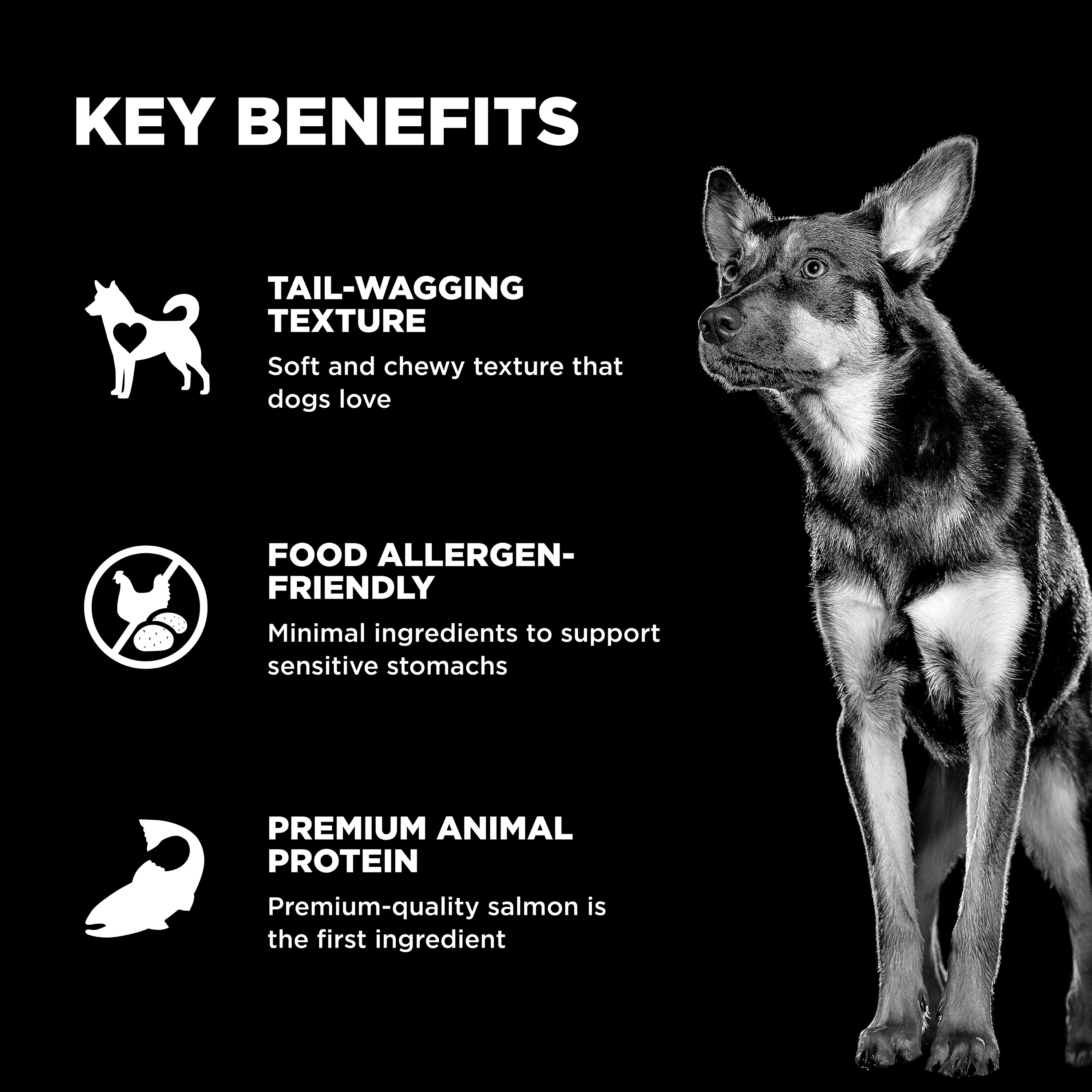 *NEW* GO! SOLUTIONS Benefit Chews Sensitivities LID Salmon DF | 170g