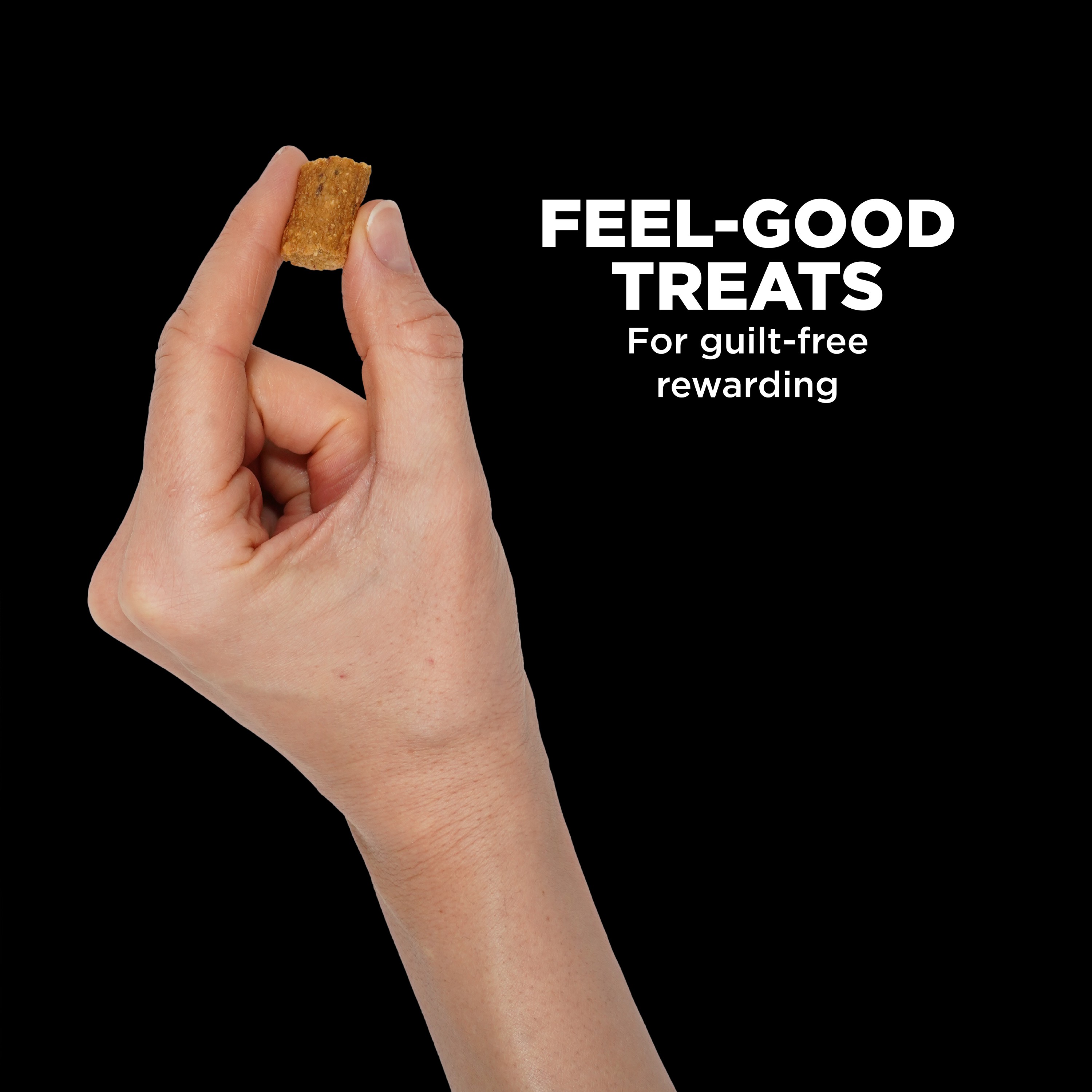 *NEW* GO! SOLUTIONS Benefit Chews Sensitivities LID Salmon DF | 170g