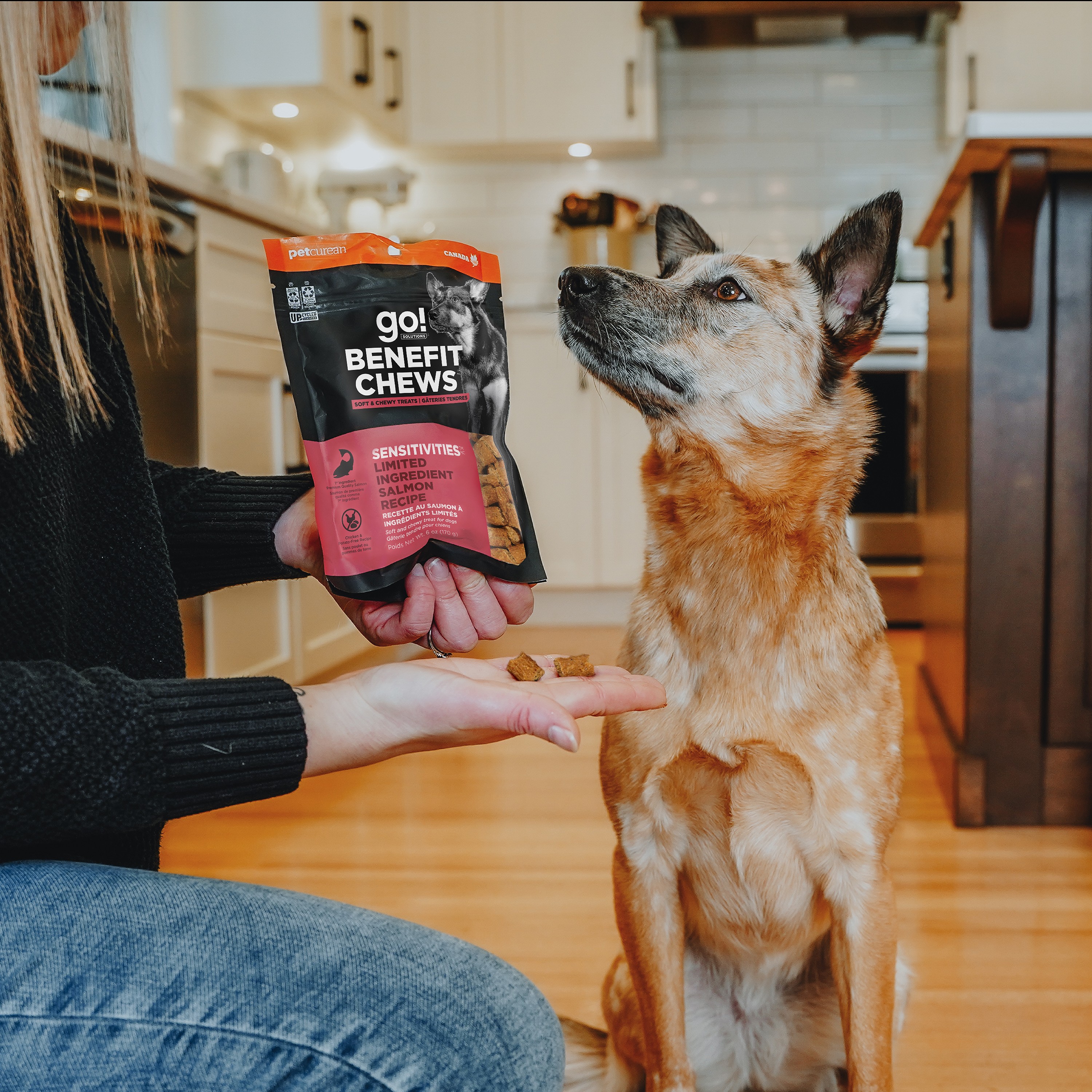 *NEW* GO! SOLUTIONS Benefit Chews Sensitivities LID Salmon DF | 170g