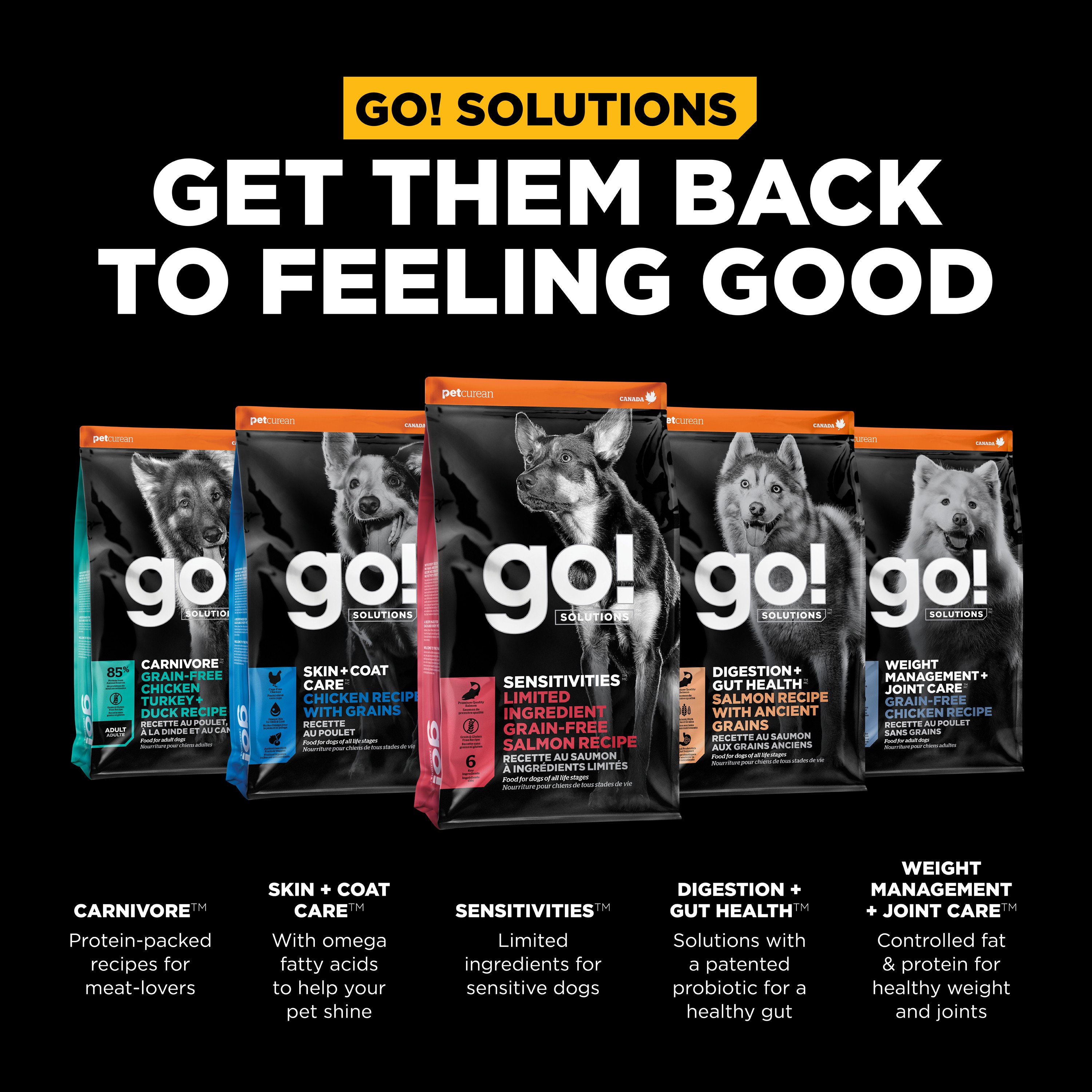 *NEW* GO! SOLUTIONS Benefit Chews Sensitivities LID Salmon DF | 170g