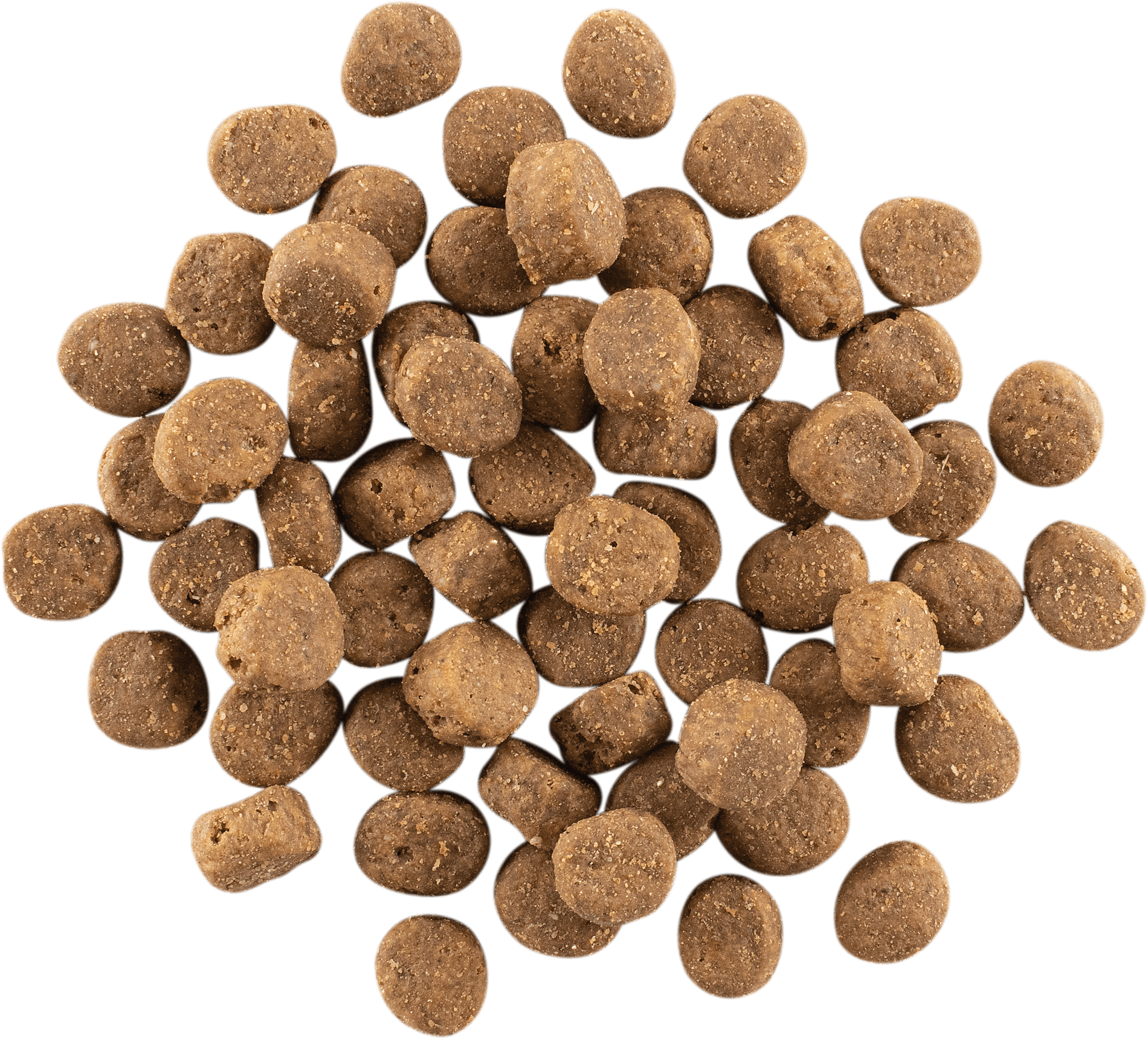 GO! SOLUTIONS CARNIVORE Grain Free Salmon + Cod Recipe | 10kg