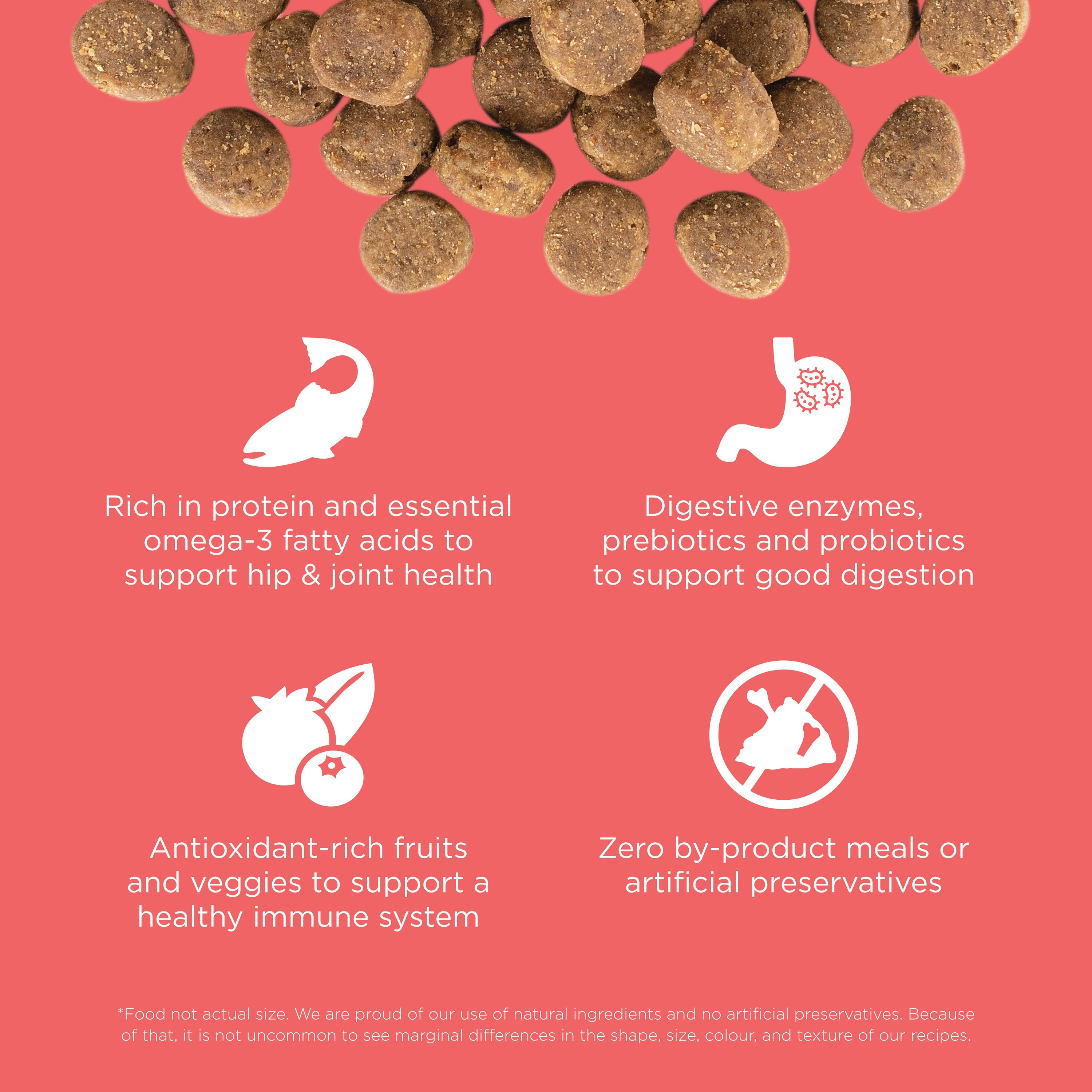 GO! SOLUTIONS CARNIVORE Grain Free Salmon + Cod Recipe | 10kg