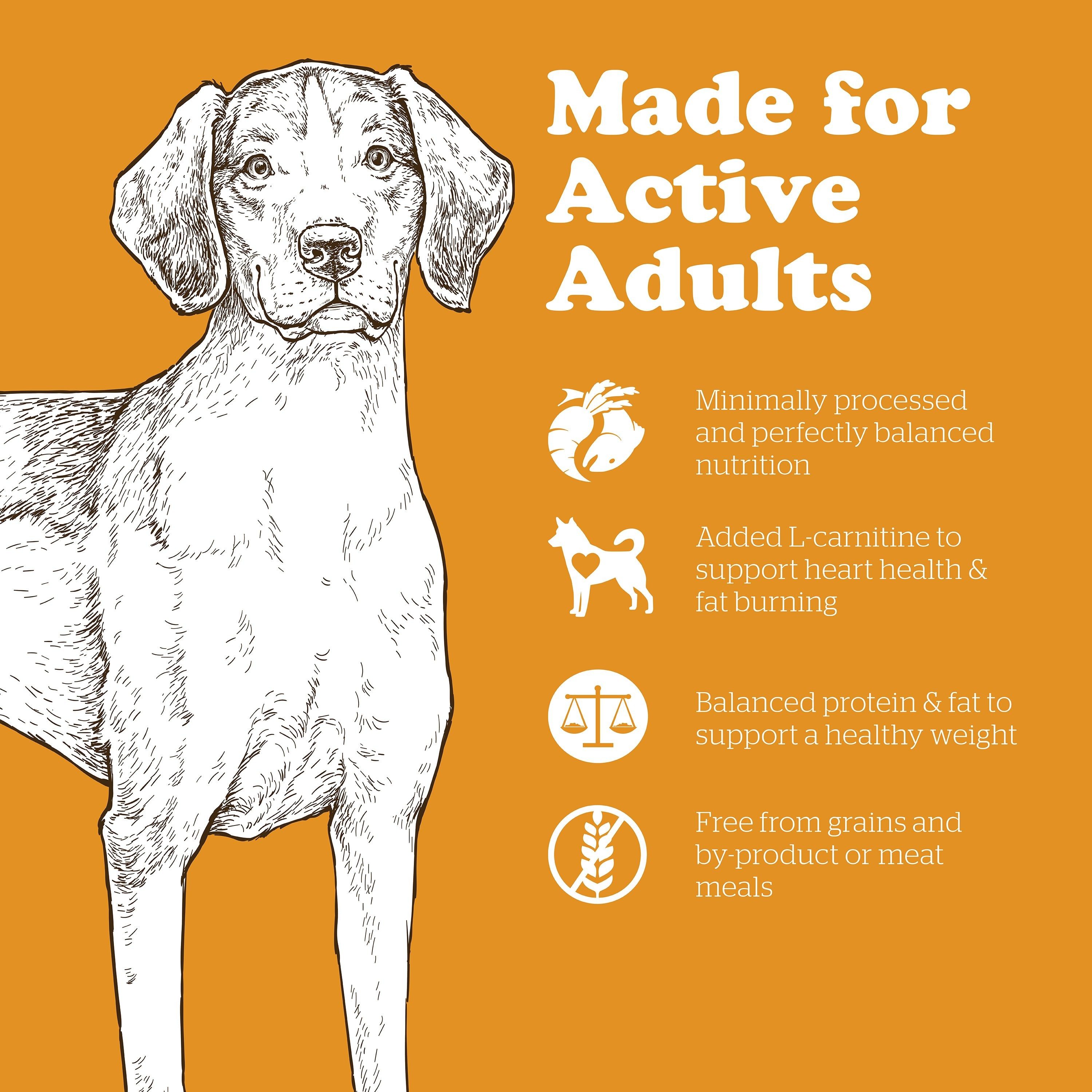 NOW FRESH Turkey, Salmon + Duck Adult Recipe | 5.4kg