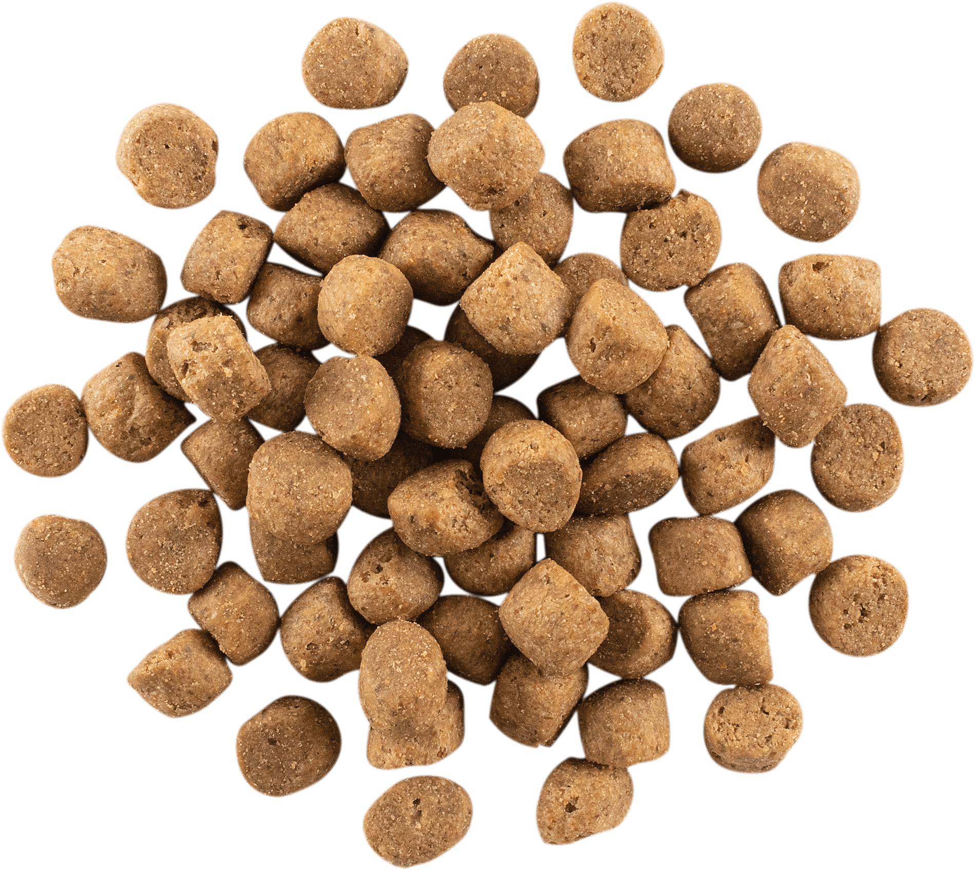 NOW FRESH Turkey, Salmon + Duck Adult Recipe | 5.4kg