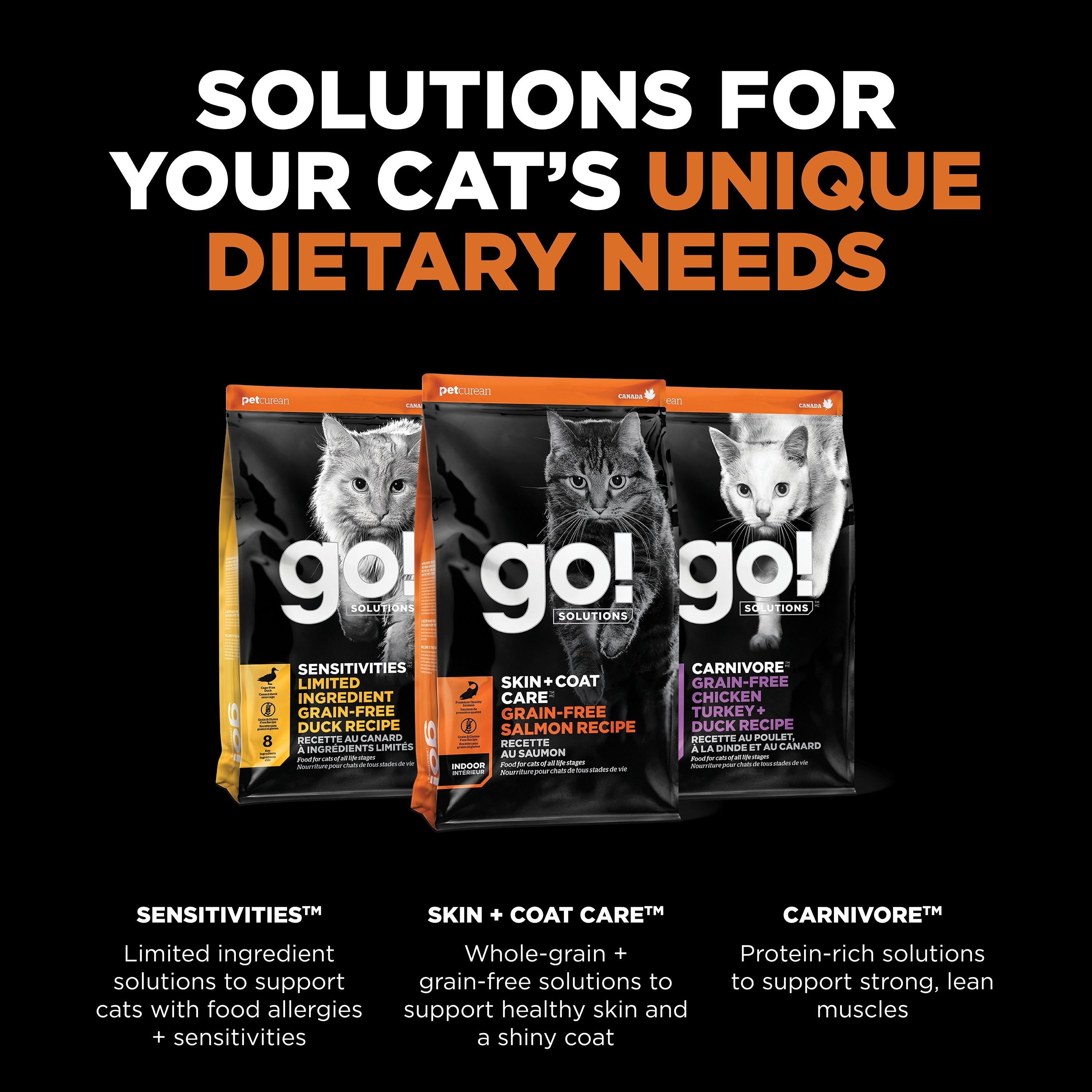 GO! SOLUTIONS SKIN + COAT CARE Grain Free Salmon Recipe | 3.63kg