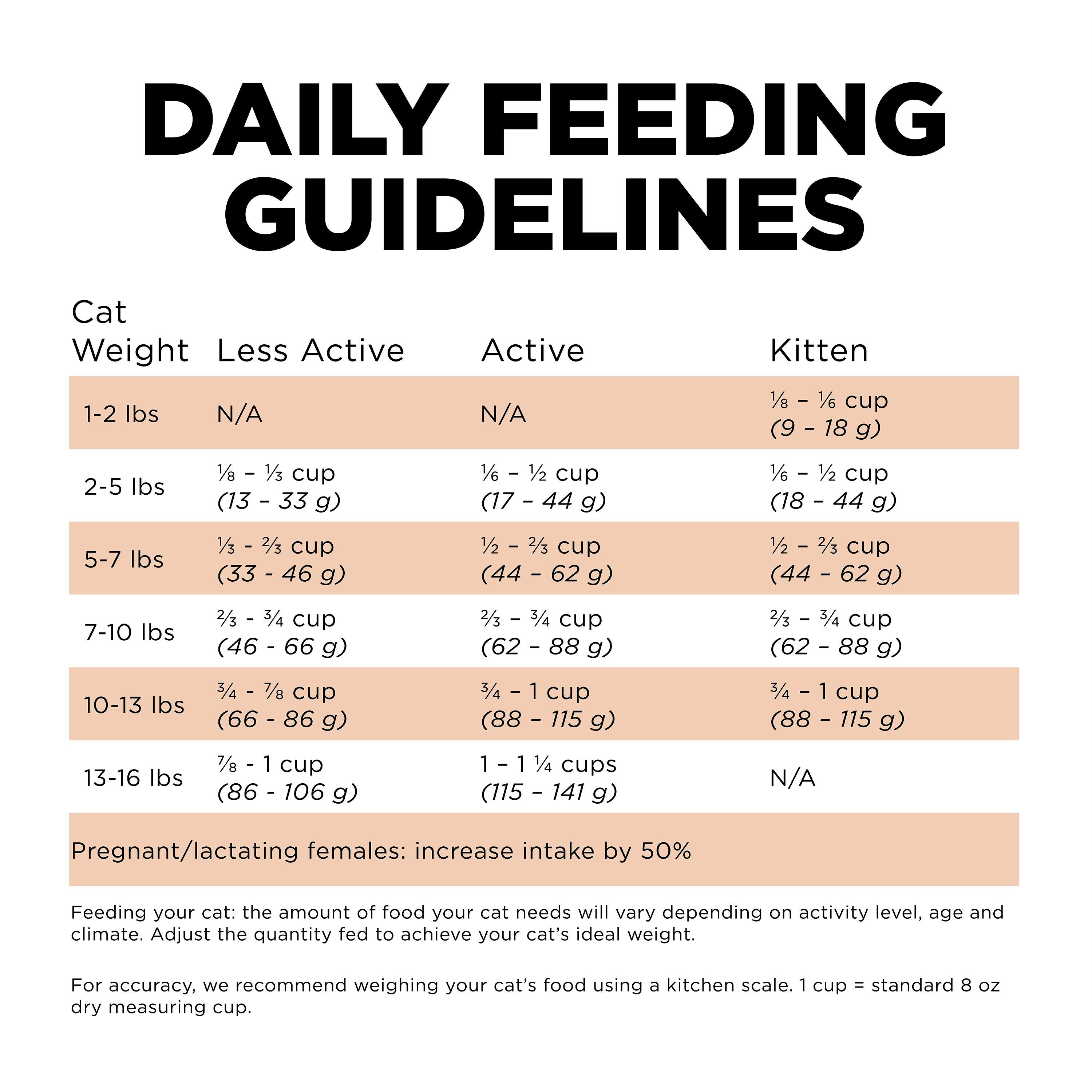 GO! SOLUTIONS SKIN + COAT CARE Grain Free Salmon Recipe | 3.63kg