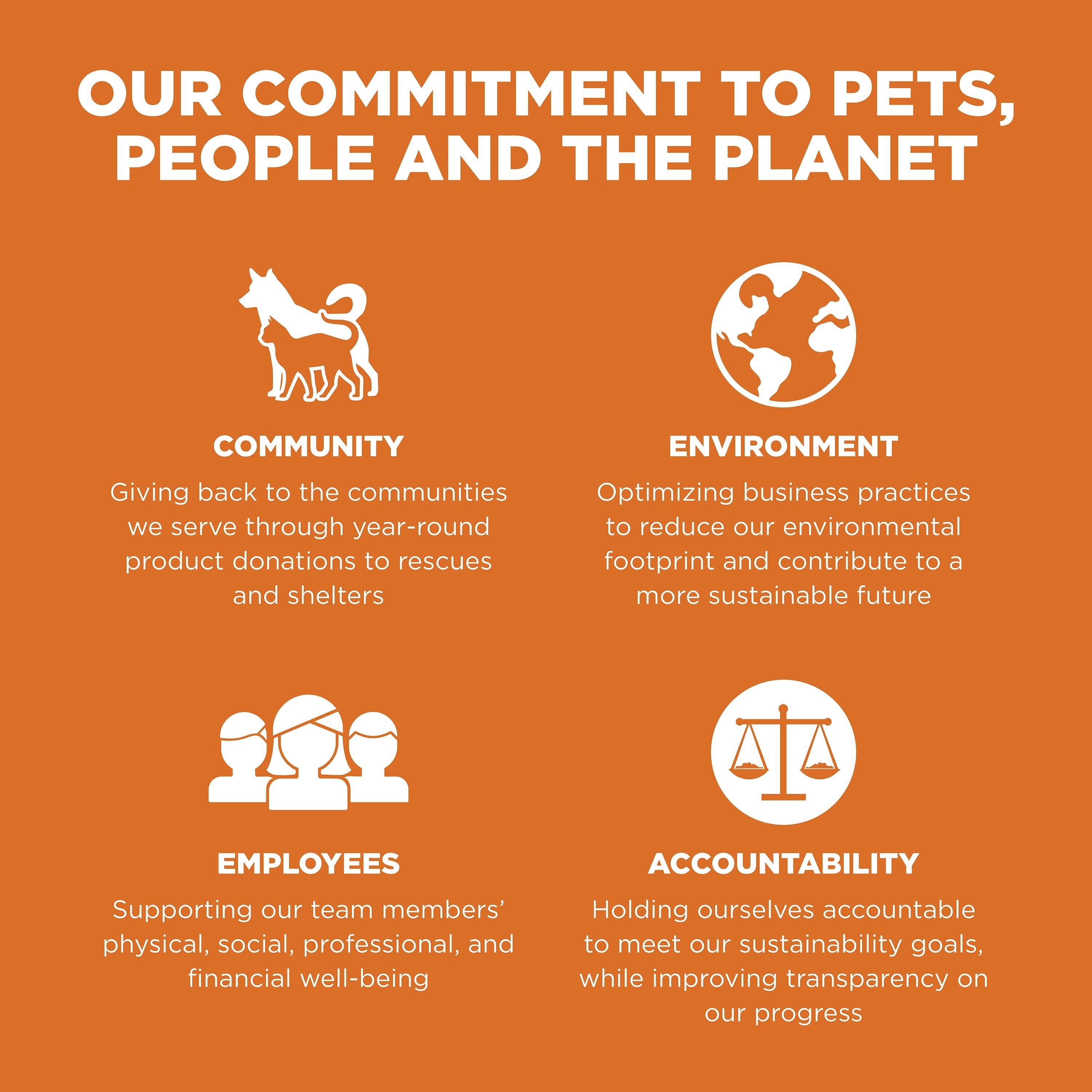 GO! SOLUTIONS SKIN + COAT CARE Grain Free Salmon Recipe | 3.63kg