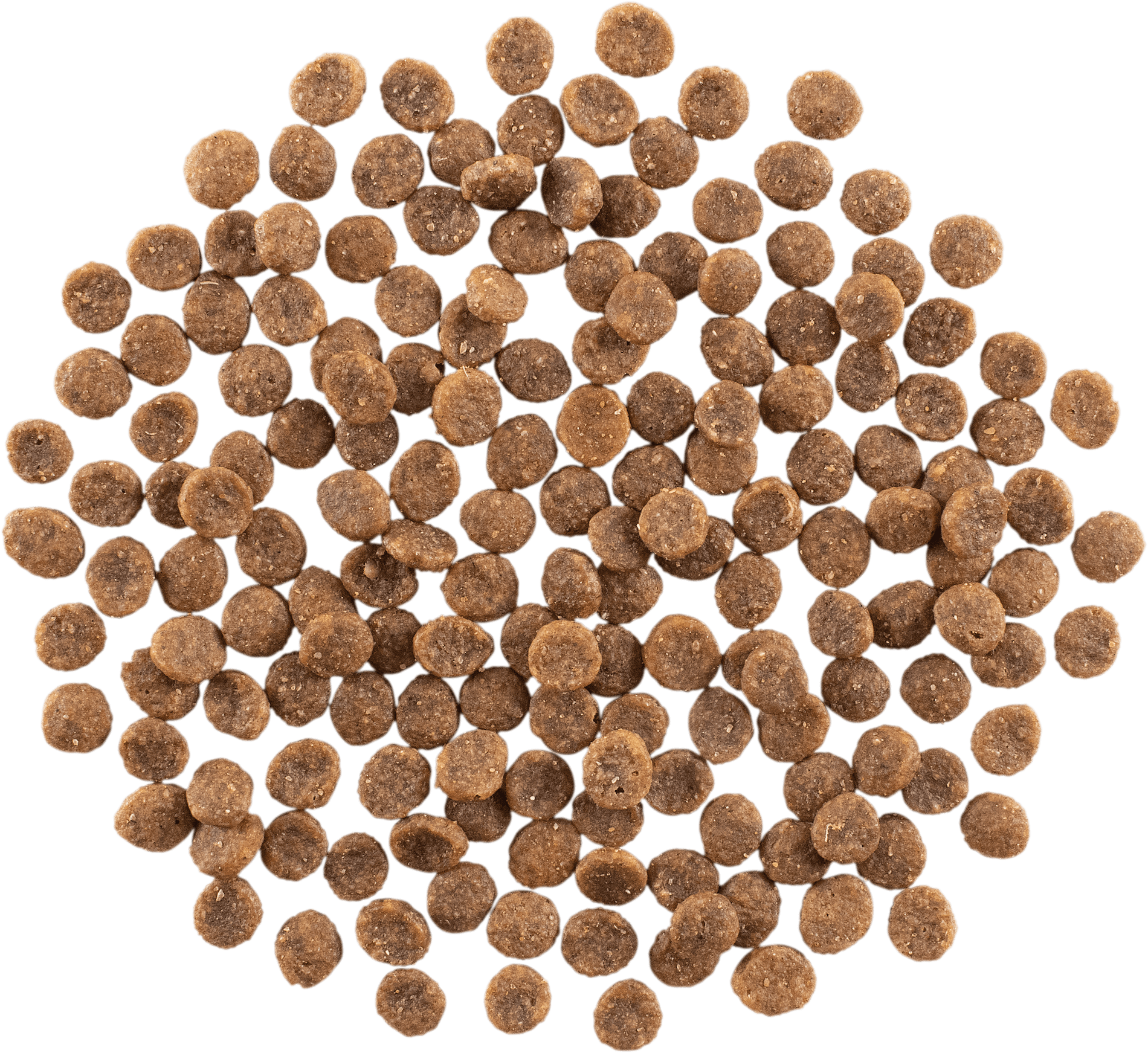 GO! SOLUTIONS SKIN + COAT CARE Grain Free Salmon Recipe | 3.63kg