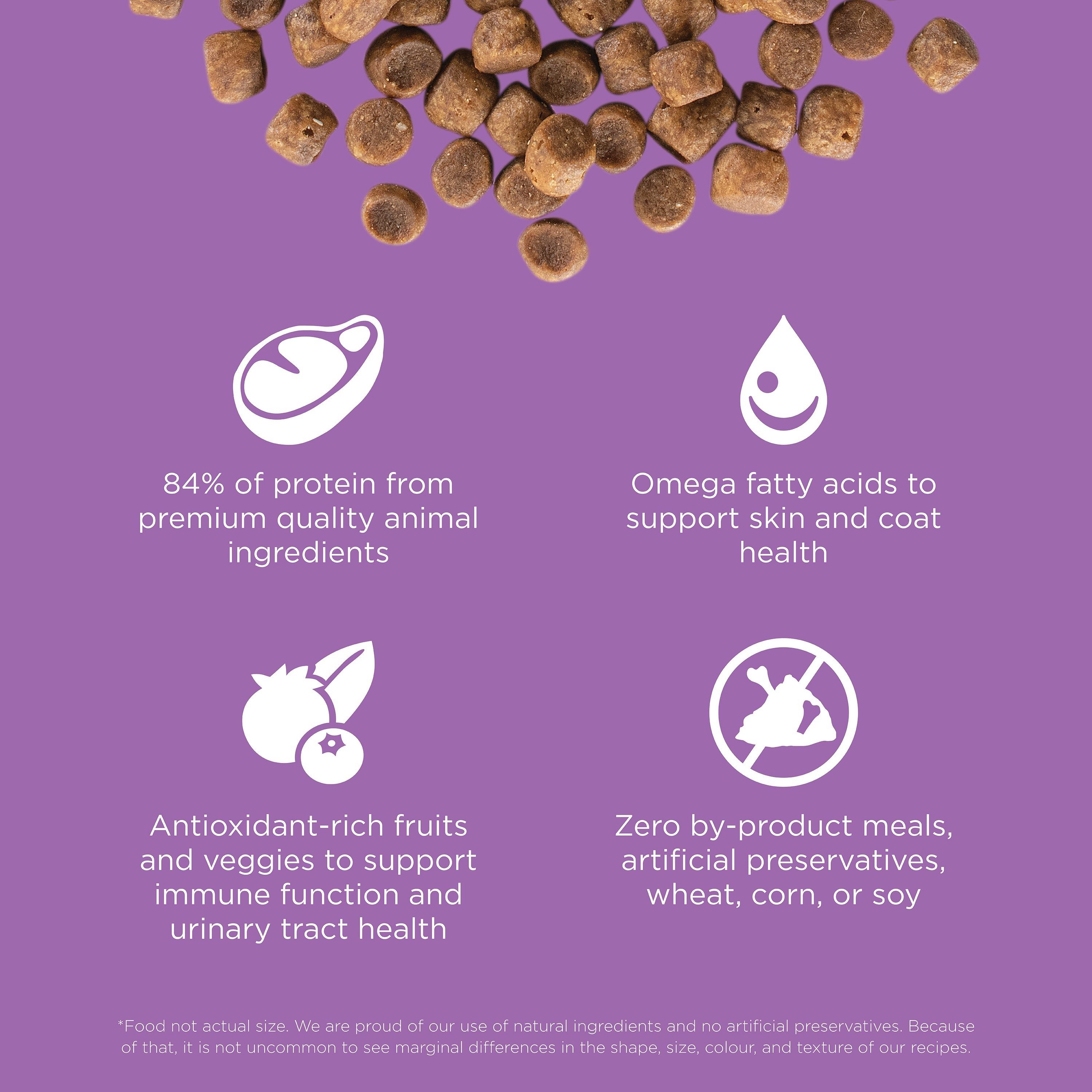 GO! SOLUTIONS CARNIVORE Grain Free Chicken, Turkey + Duck Recipe | 3.63kg