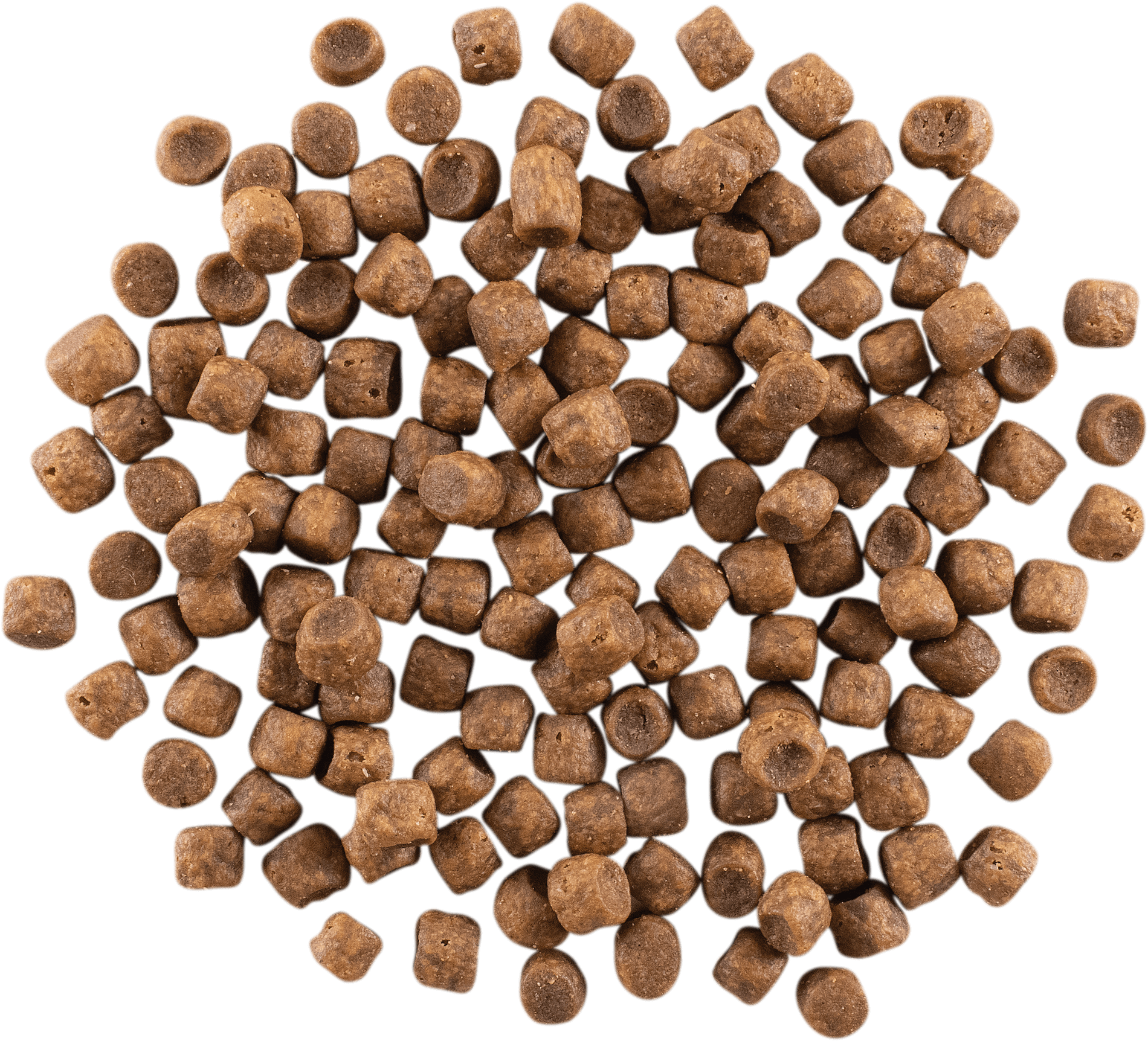 GO! SOLUTIONS CARNIVORE Grain Free Chicken, Turkey + Duck Recipe | 7.26kg