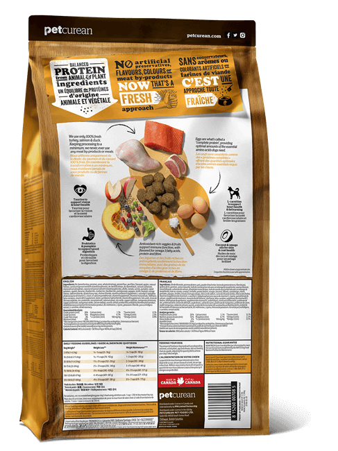 NOW FRESH Turkey, Salmon + Duck Adult Recipe | 10kg