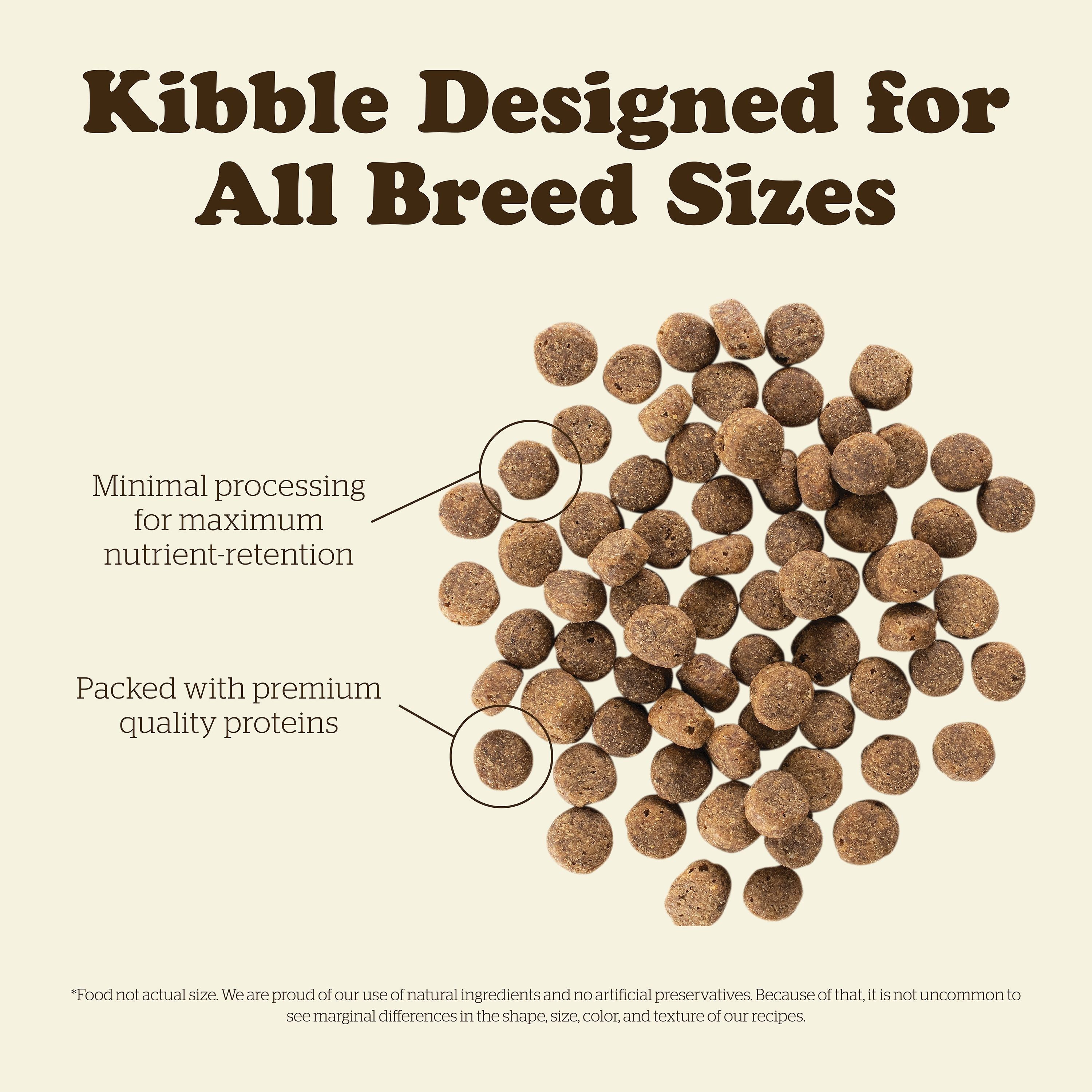 NOW FRESH Turkey, Salmon + Duck Senior Recipe | 5.4kg