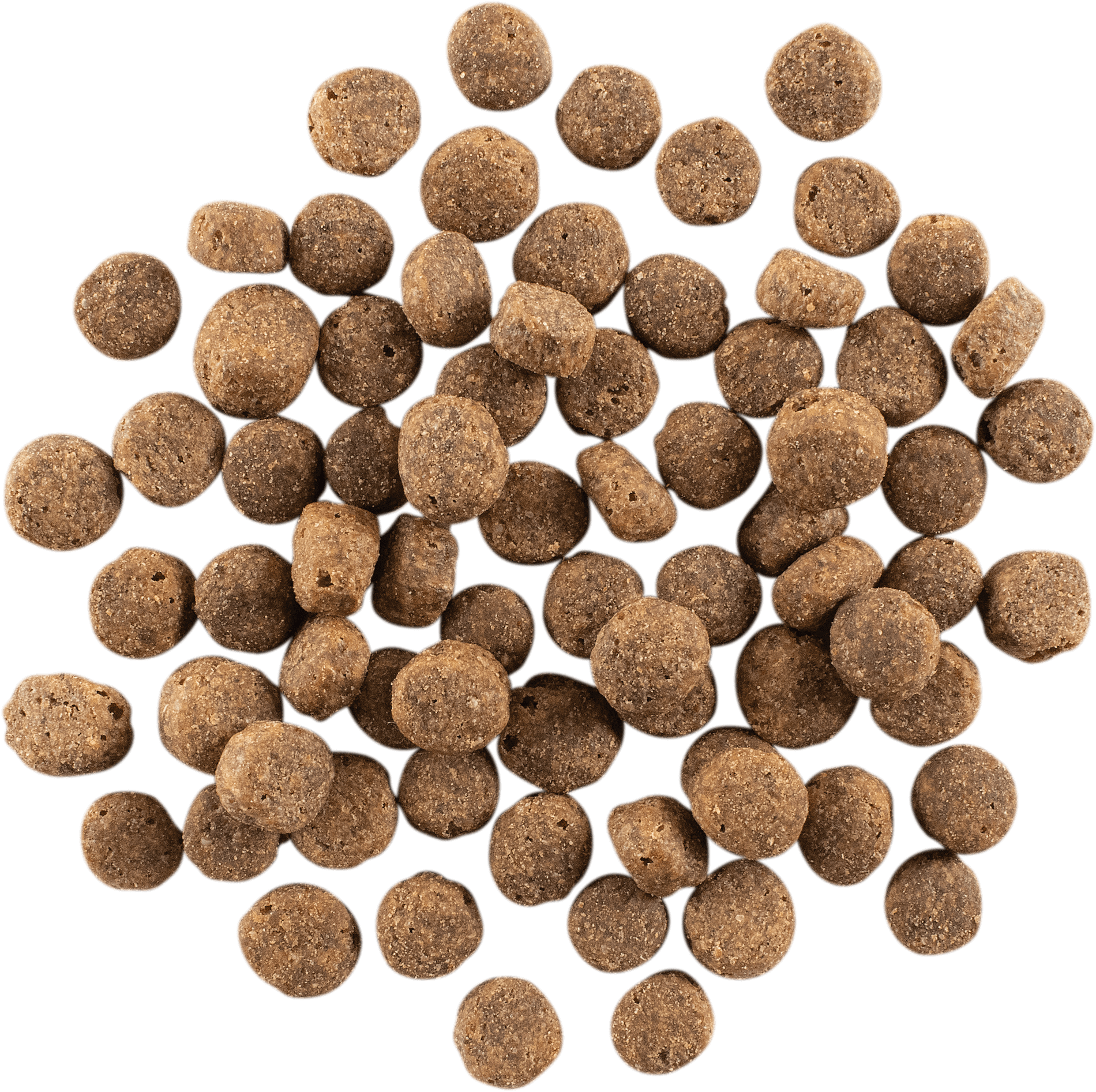 NOW FRESH Turkey, Salmon + Duck Senior Recipe | 10kg