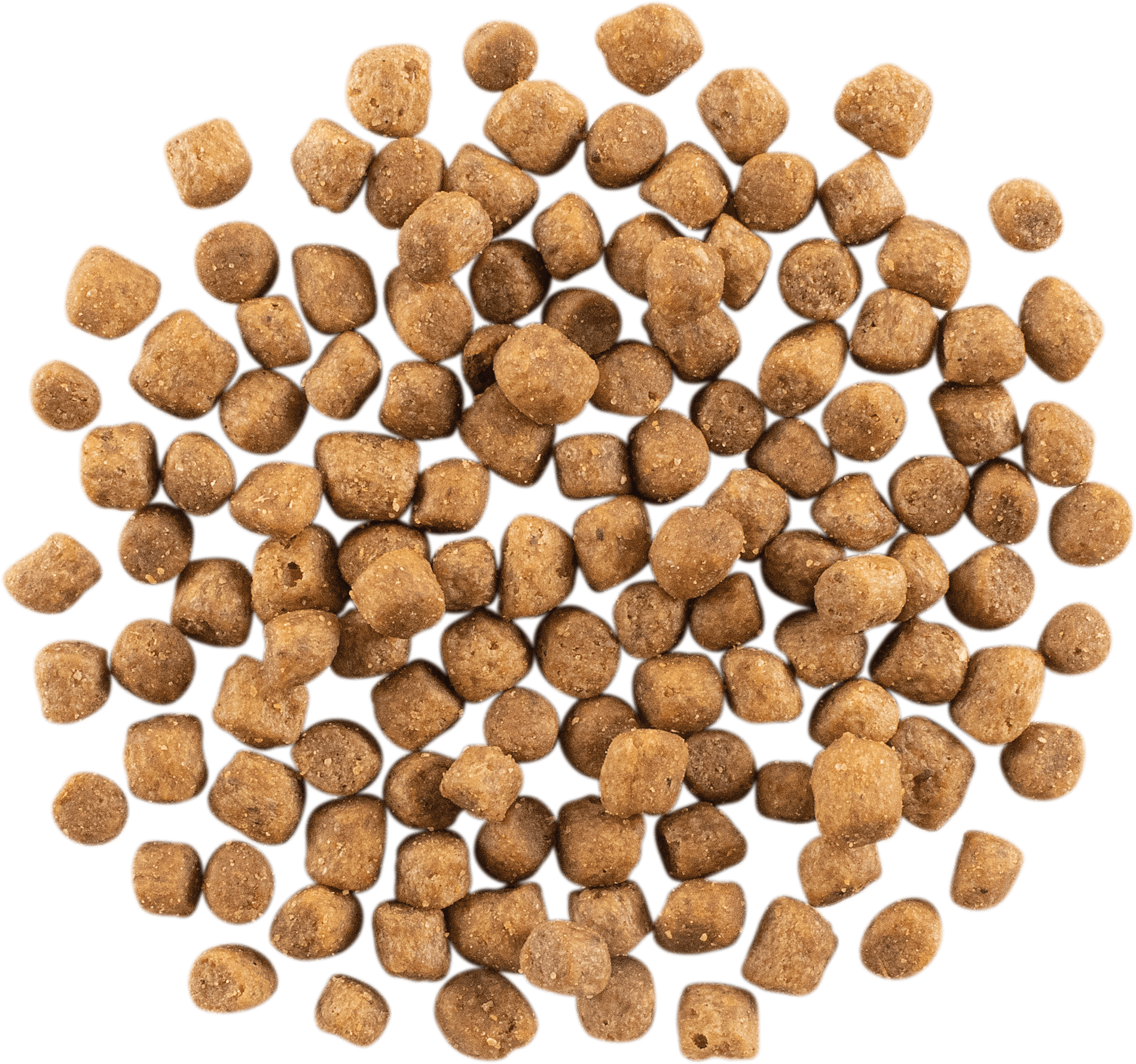 NOW FRESH Turkey, Salmon + Duck Small Breed Puppy Recipe *ON SALE 20% OFF*  | 2.72kg