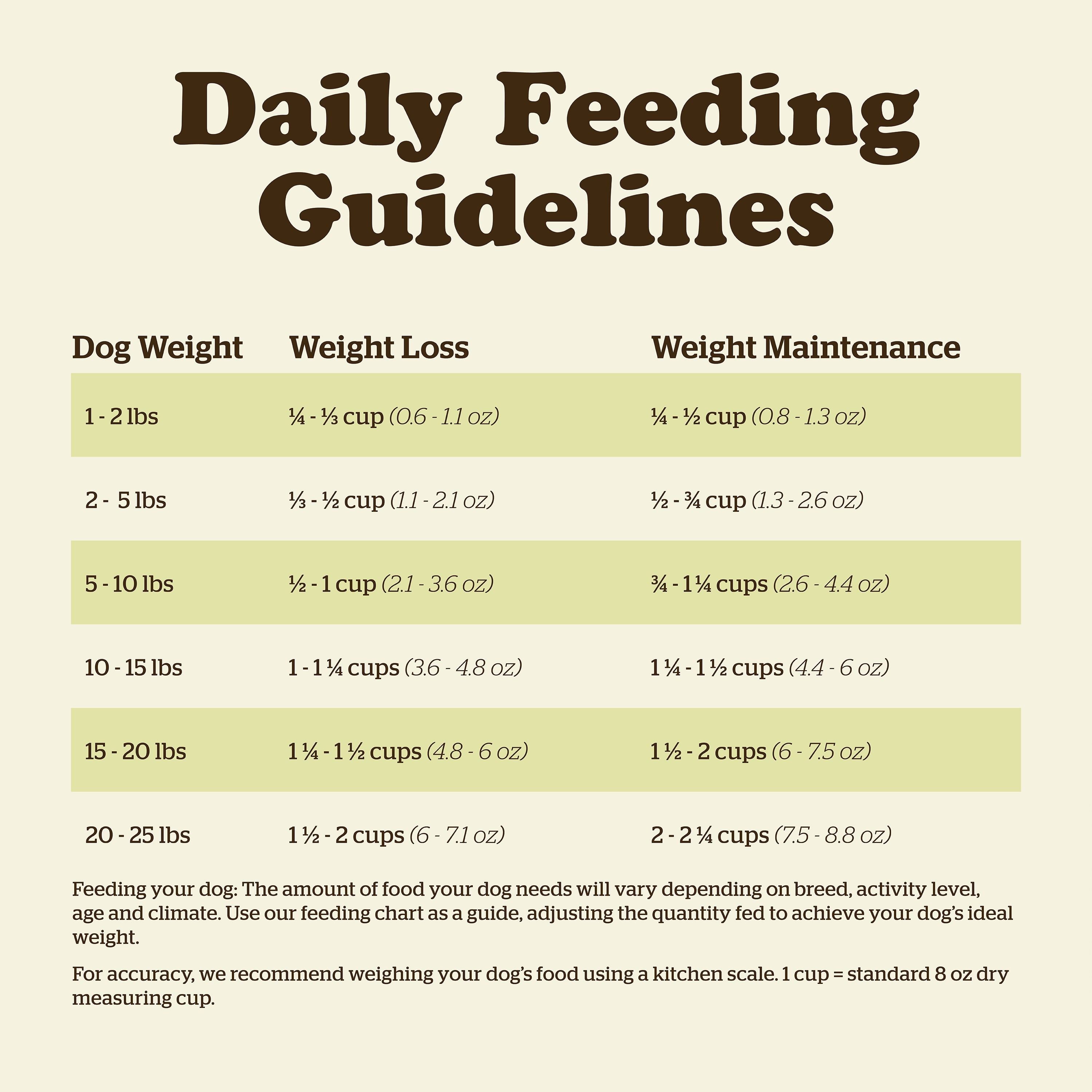 NOW FRESH Turkey, Salmon + Duck Small Breed Adult Recipe | 2.72kg