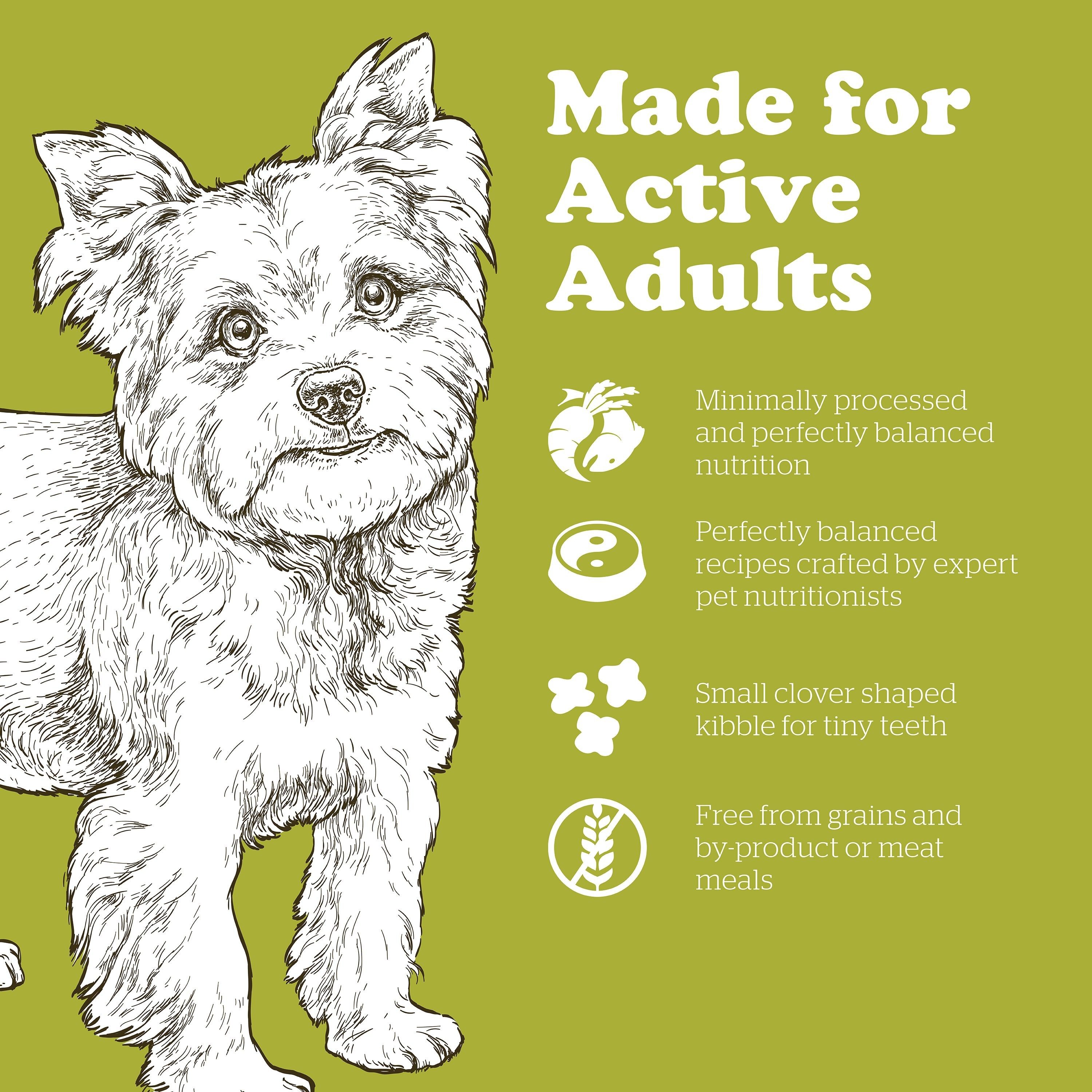 NOW FRESH Turkey, Salmon + Duck Small Breed Adult Recipe | 5.4kg