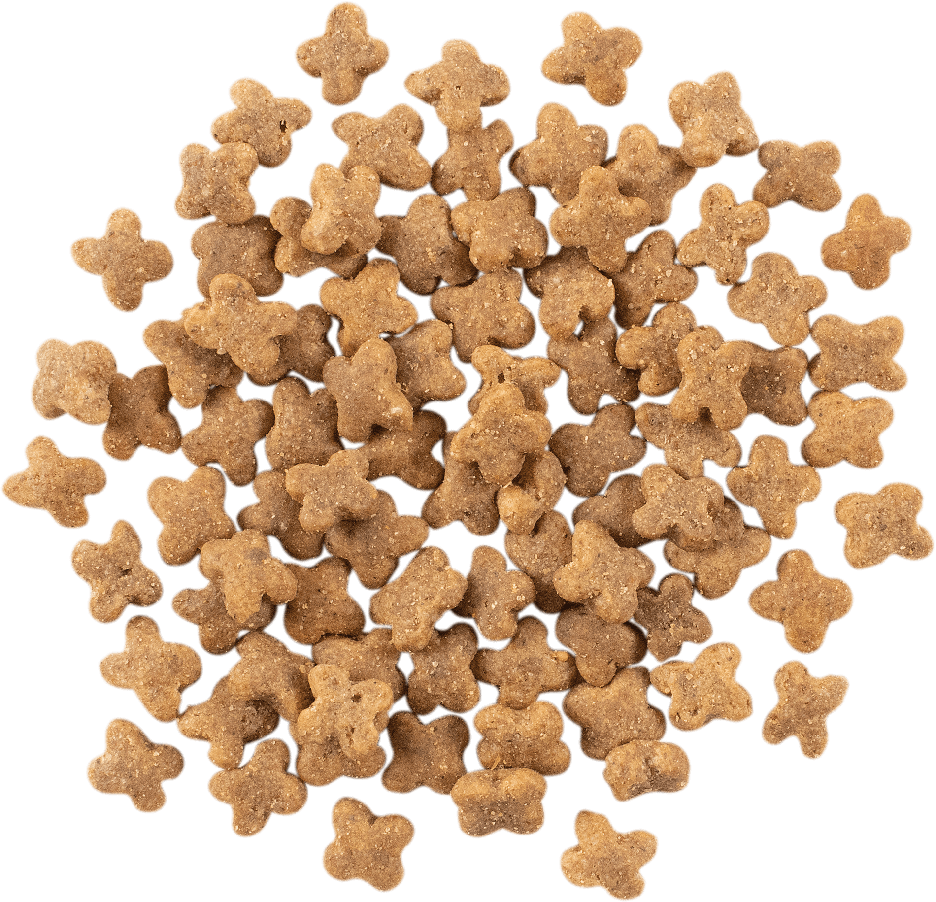 NOW FRESH Turkey, Salmon + Duck Small Breed Adult Recipe | 5.4kg