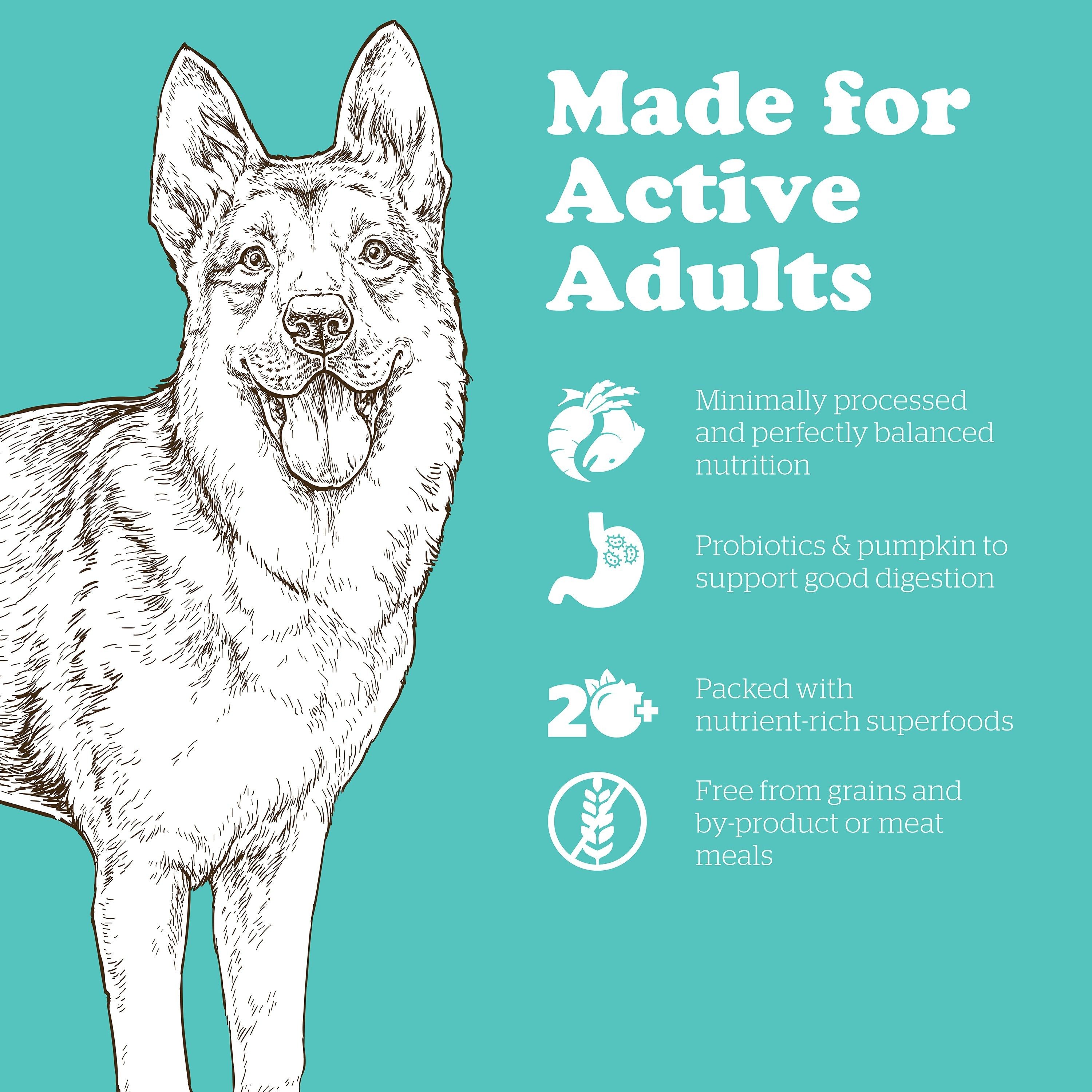 NOW FRESH Turkey, Salmon + Duck Large Breed Adult Recipe | 11.4kg