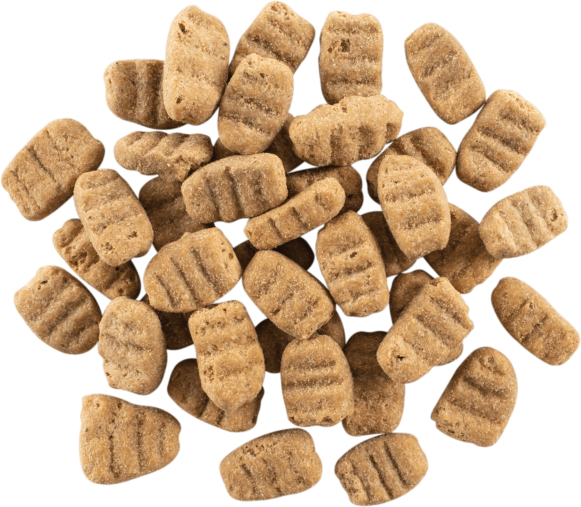 NOW FRESH Turkey, Salmon + Duck Large Breed Adult Recipe | 11.4kg