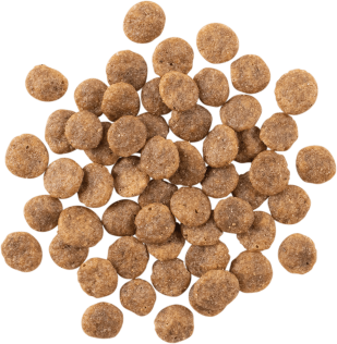 Go venison dog food store