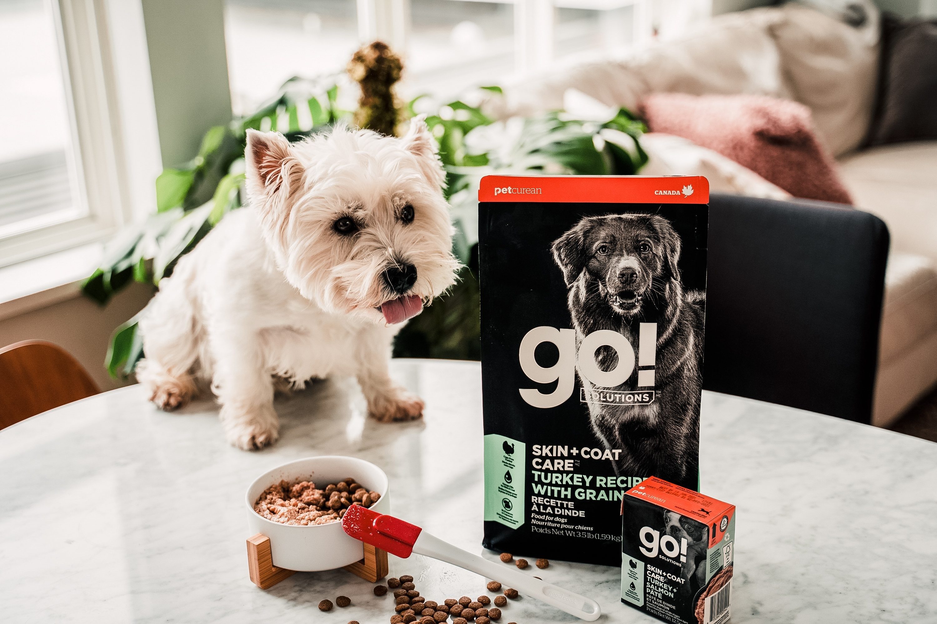 Healthy Pet Foods Combination Feeding by Petcurean