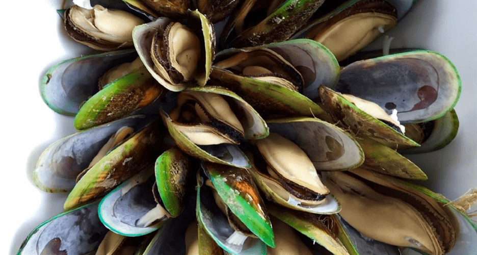 The benefits of green-lipped mussel extract