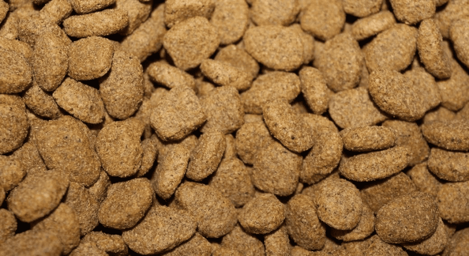 What is the best way to store my dry pet food?