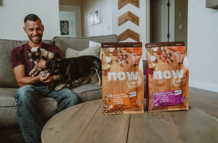 What makes the NOW Fresh range of pet food unique?