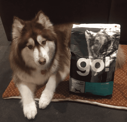 Healthy Pet Foods Testimonials